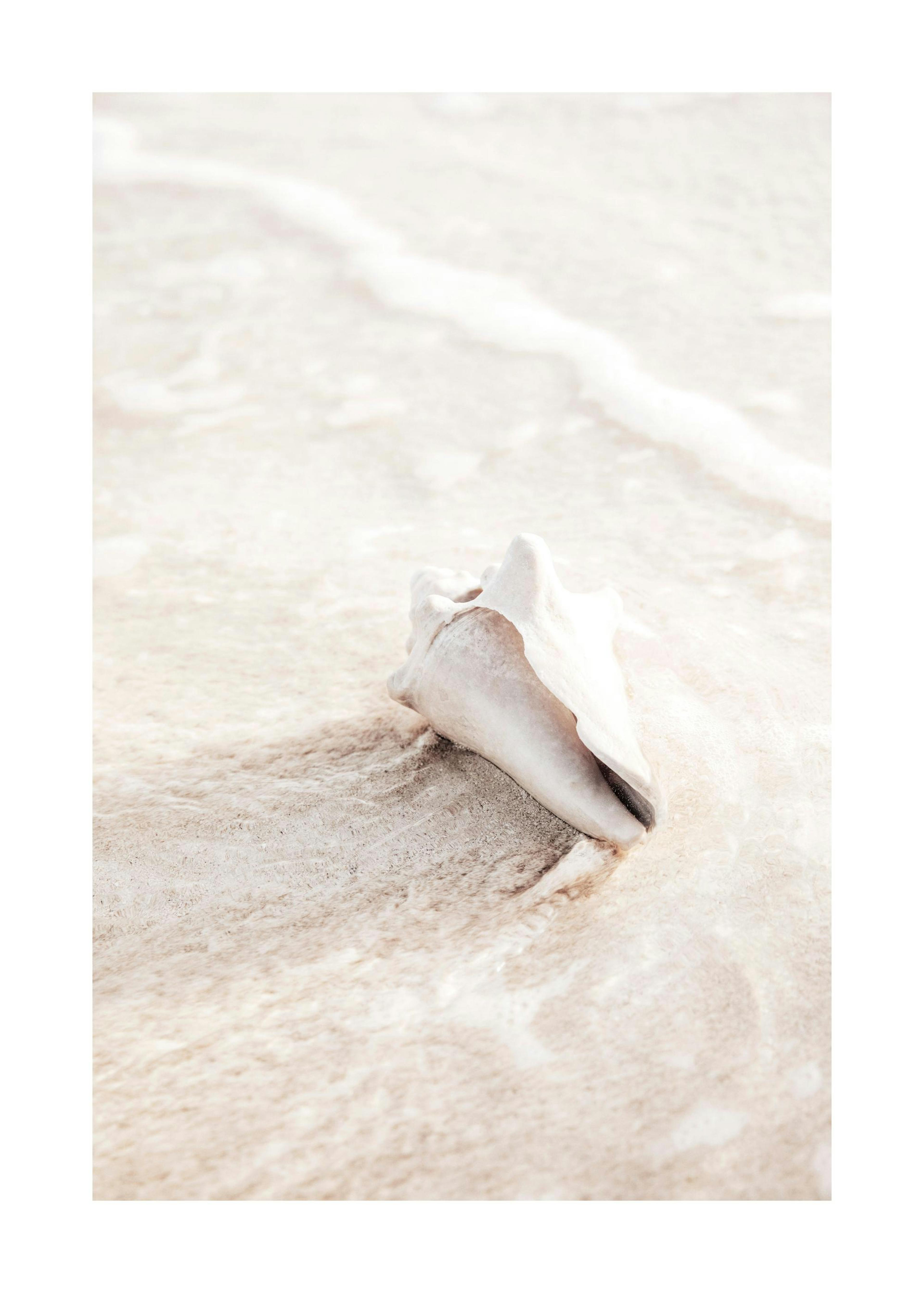 Nature Creation Print 0