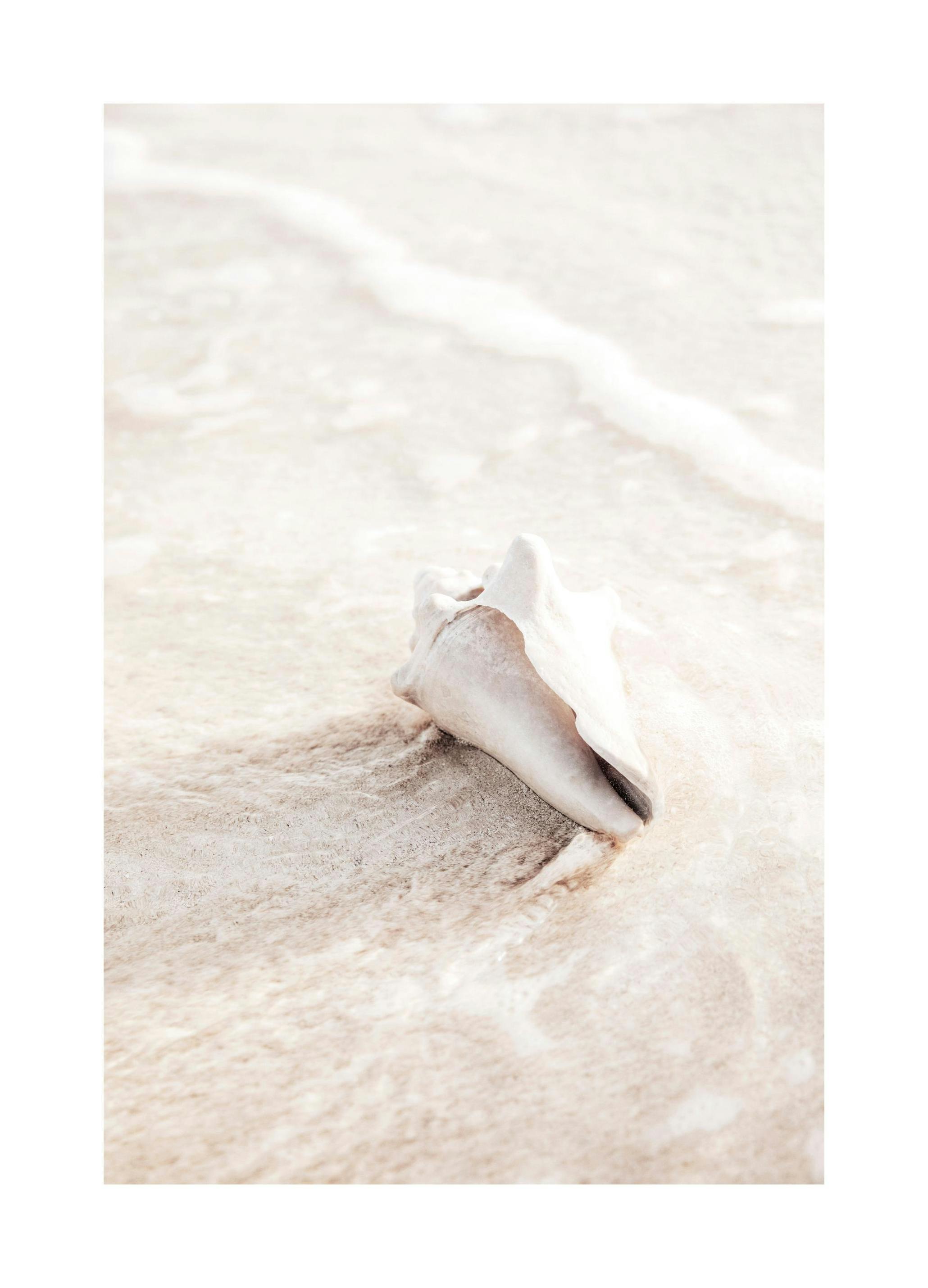 Prints - Nature Creation Print (50x70 cm) - Nature prints