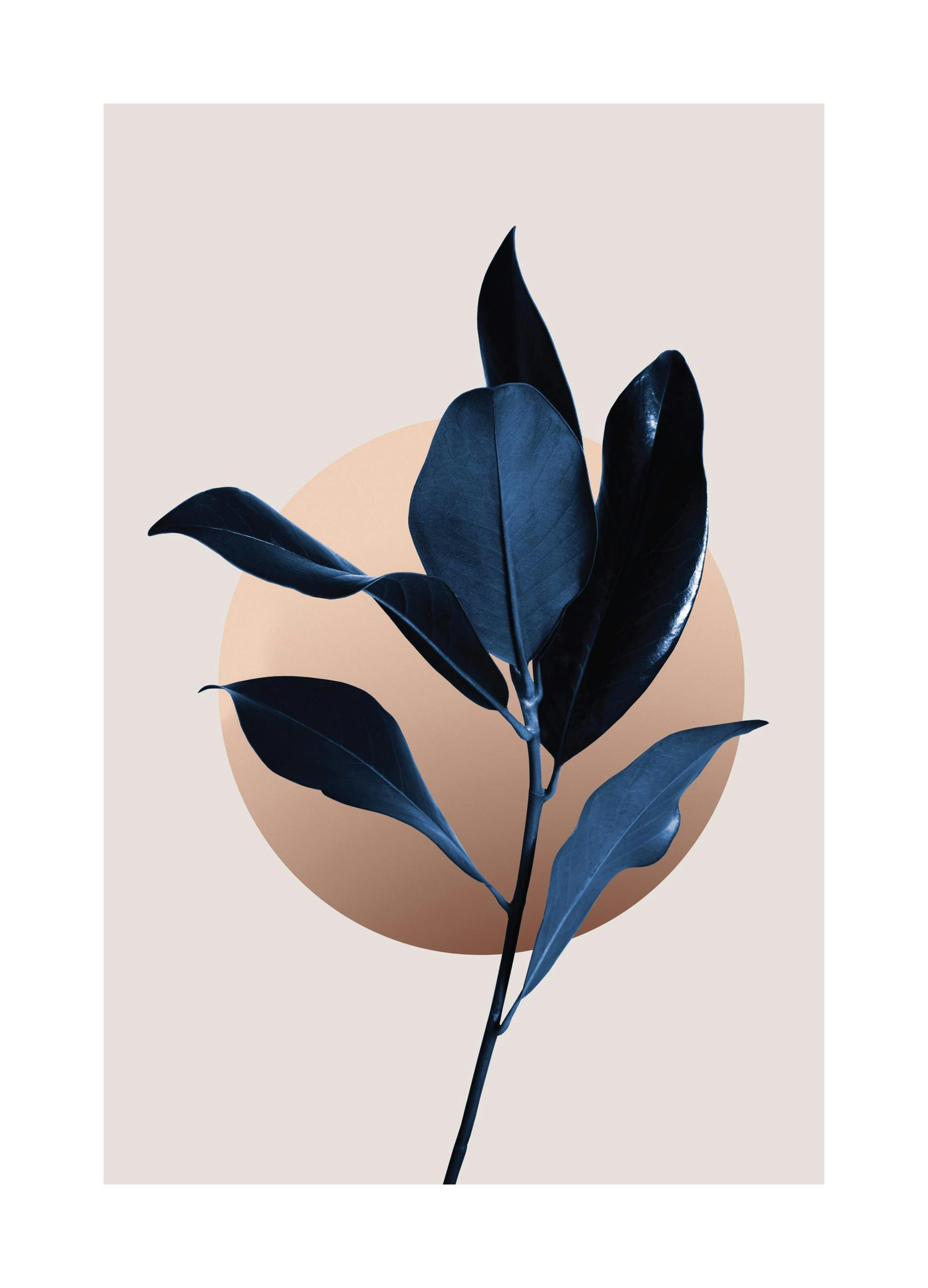 Prints - Blue Magnolia No2 Print (21x30 cm) - Green plants posters