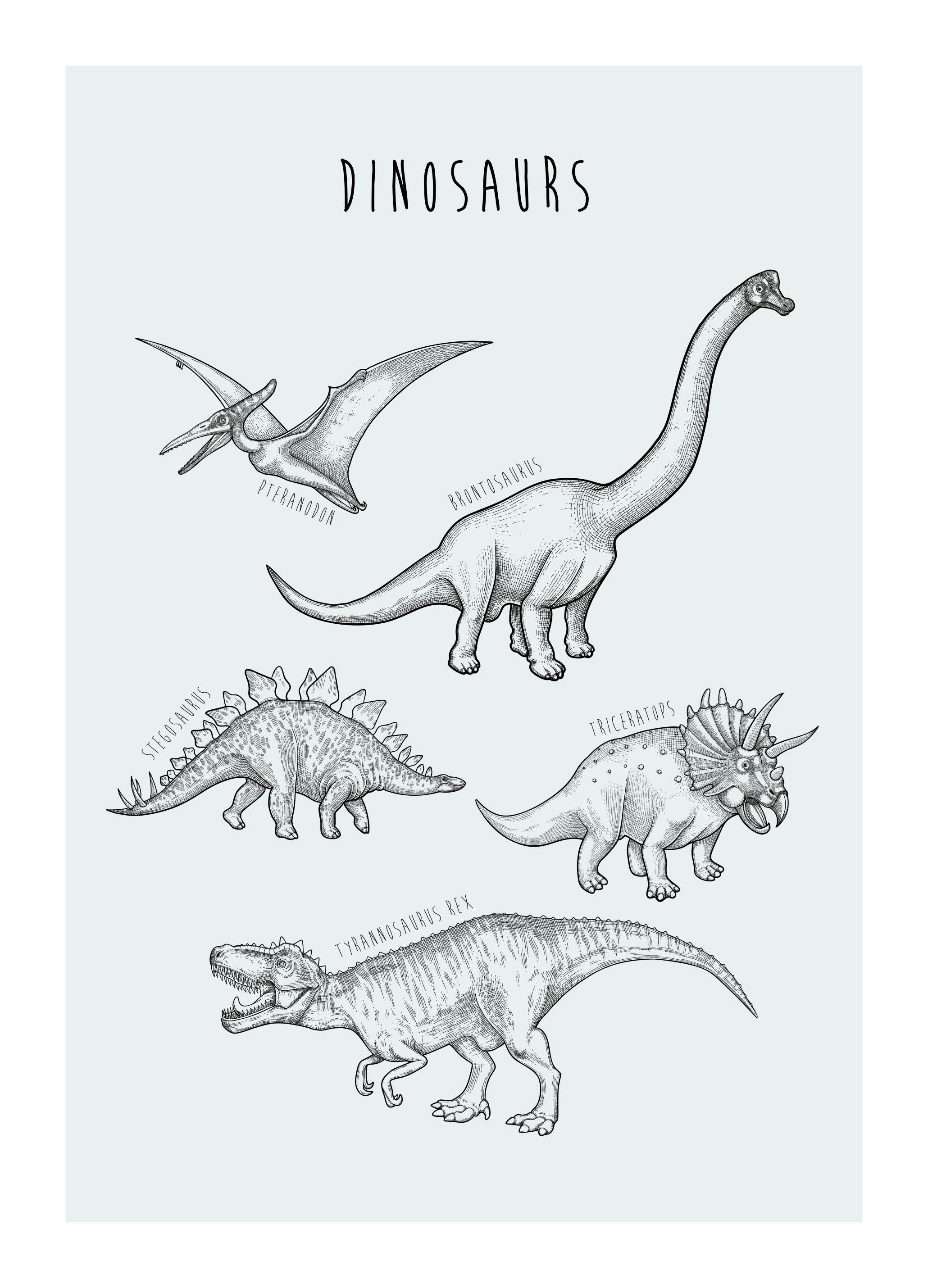 Dinos Poster (30x40 cm) - Poster