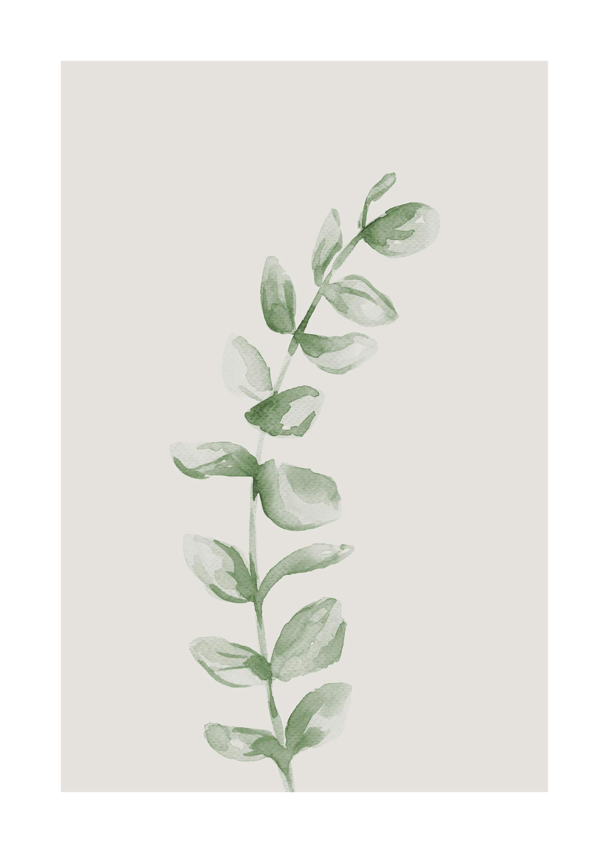 Affiche de branche avec petites feuilles vertes, peinte à laquarelle sur fond beige clair, style botanique, typographie délicate