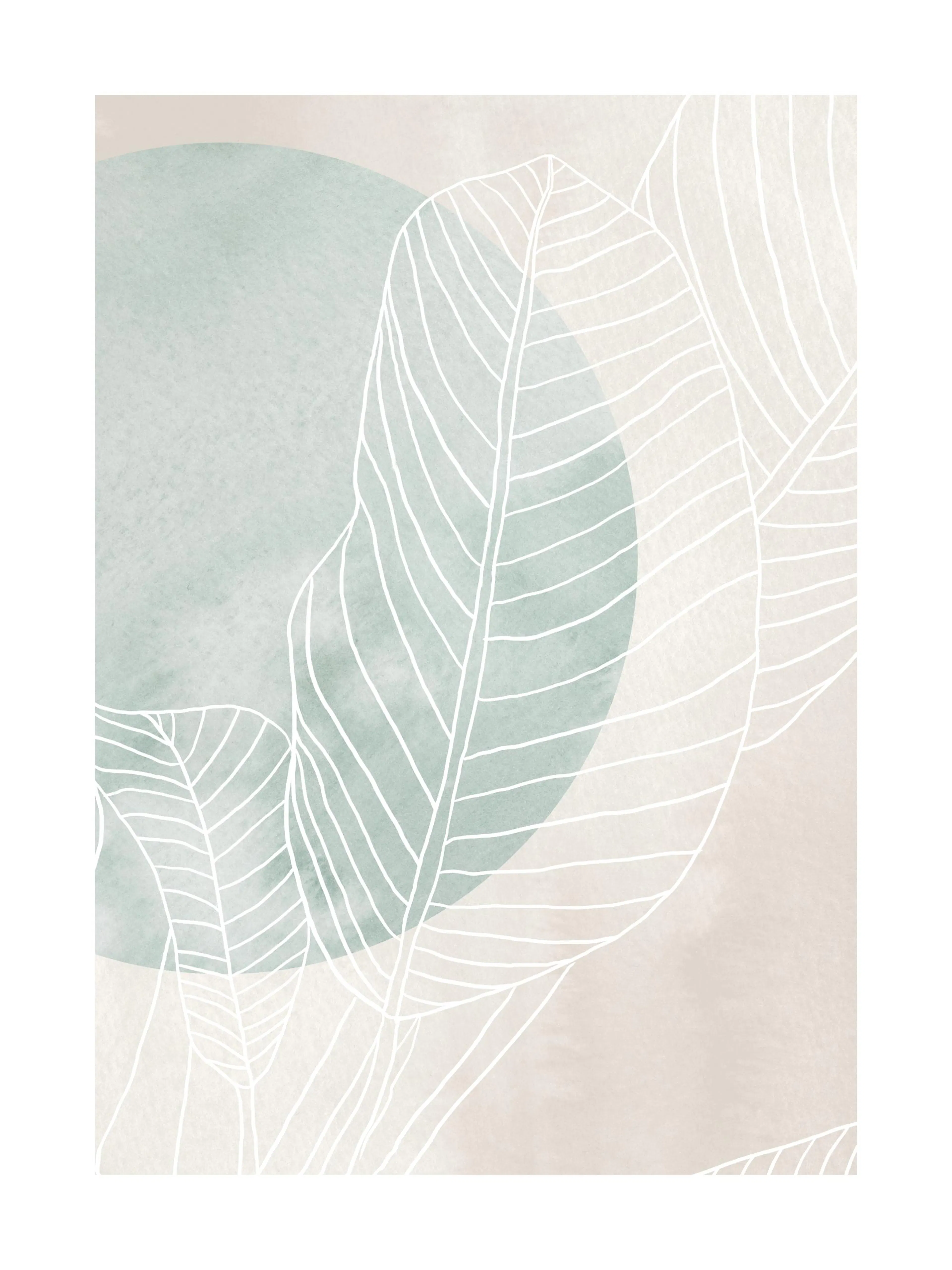 Ficus line drawing print with white leaves, a green circle, and a beige background, perfect for a poster.