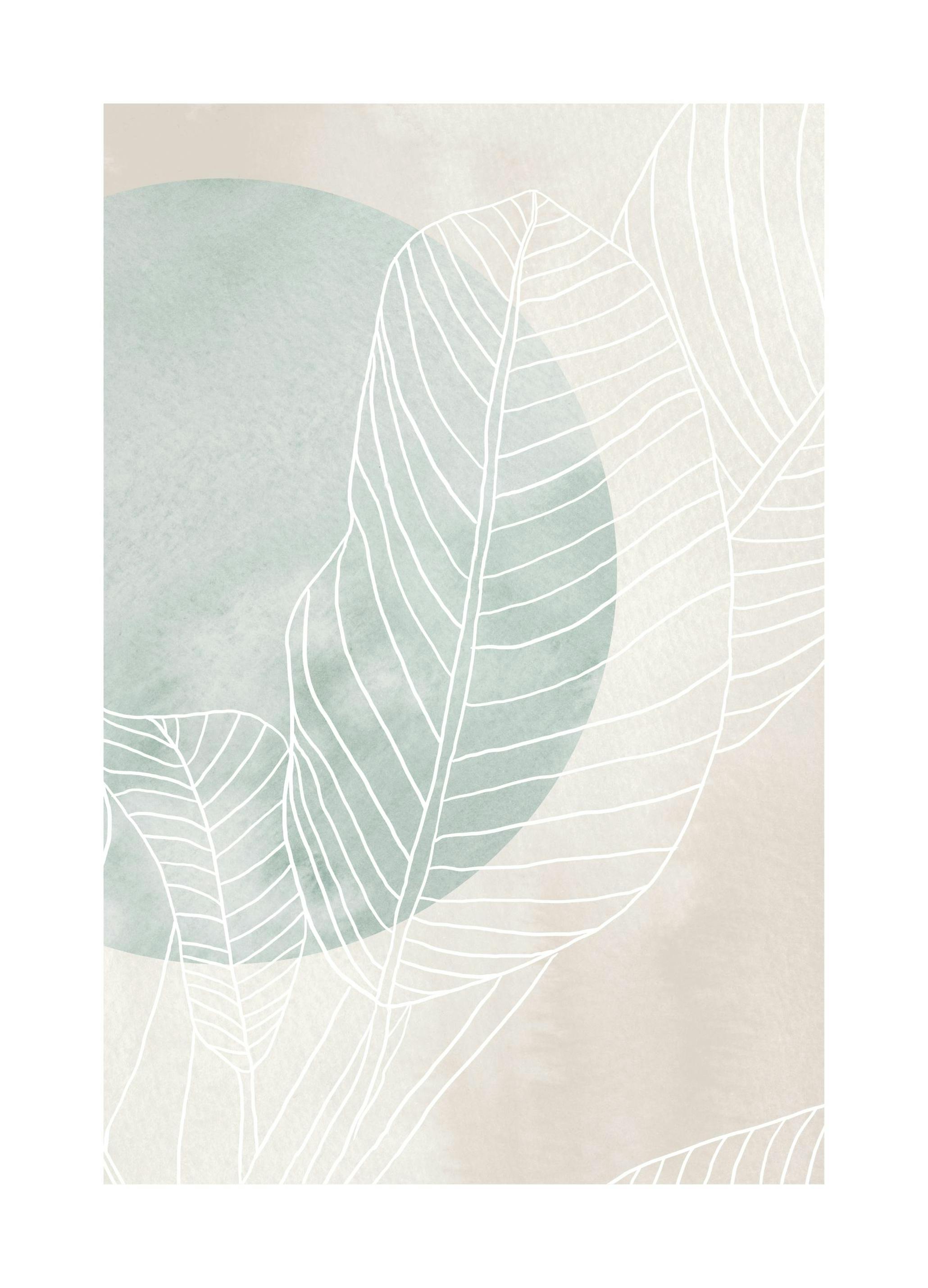 Ficus Line Drawing Poster (30x40 cm) - Moderne kunst