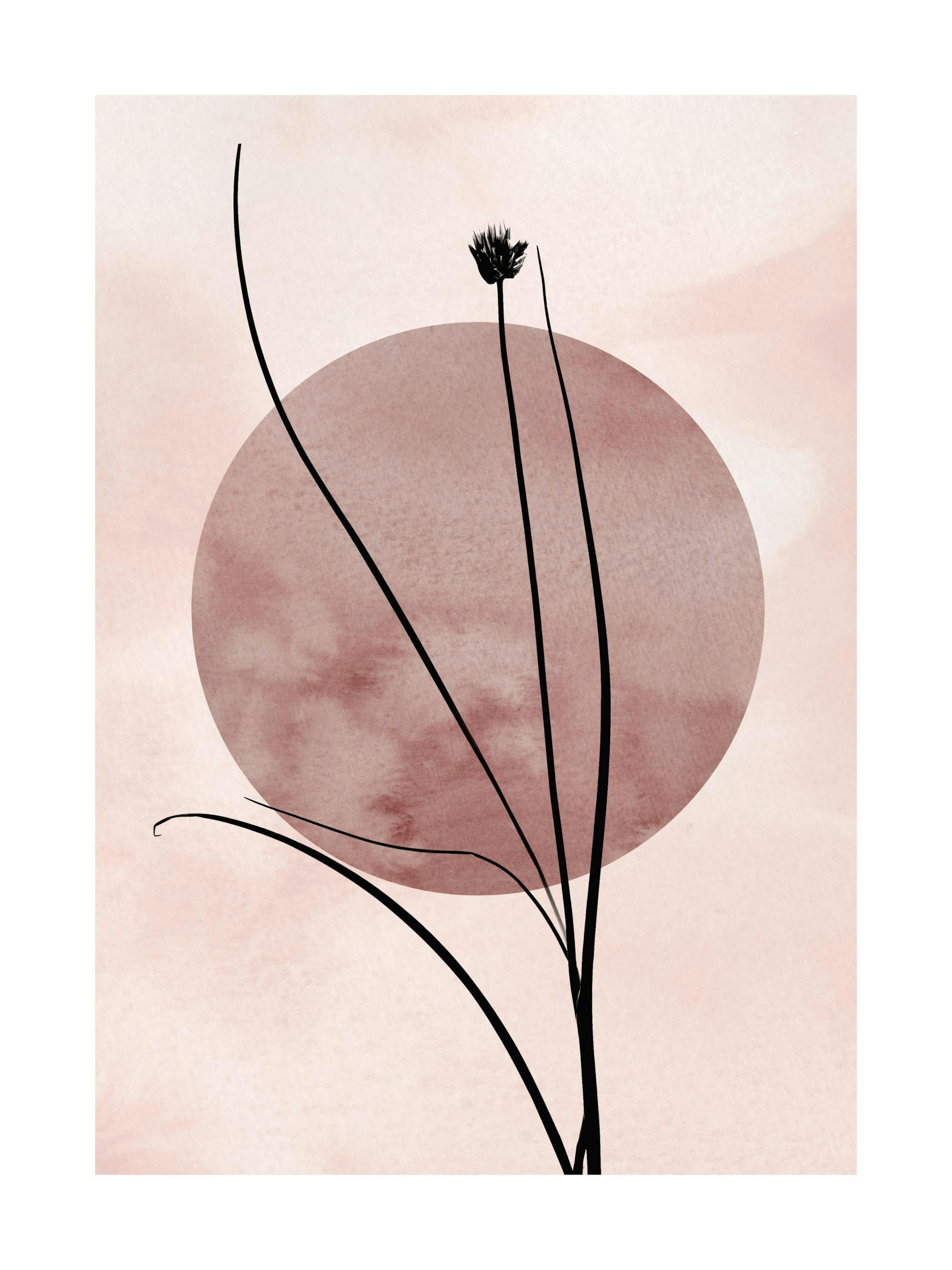 Póster de planta en silueta negra sobre un círculo rosa, colgado sobre una cama con cojines y una mesita de noche.
