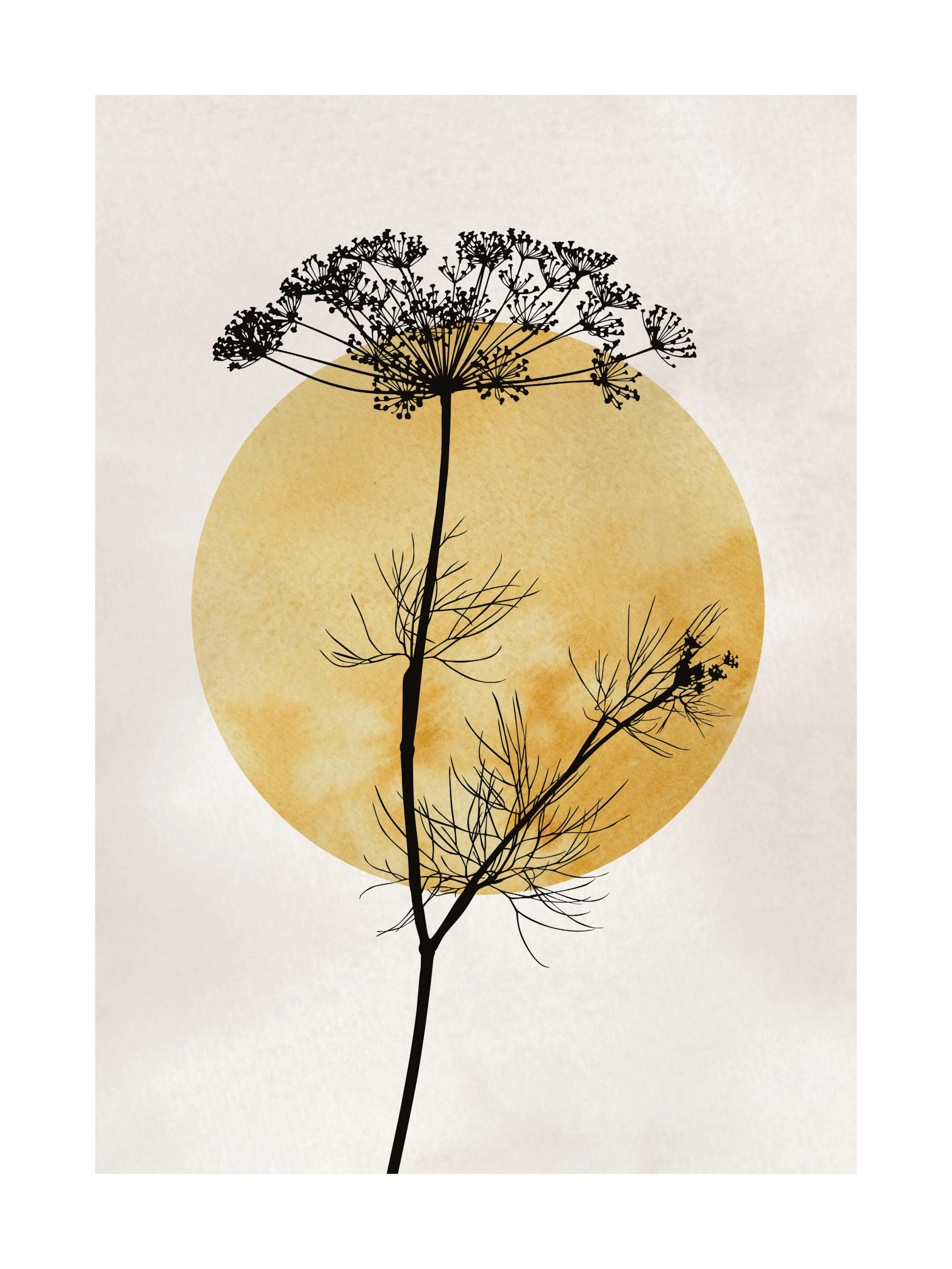 Póster botánico con silueta de planta negra y flores detalladas sobre círculo amarillo oscuro, fondo beige