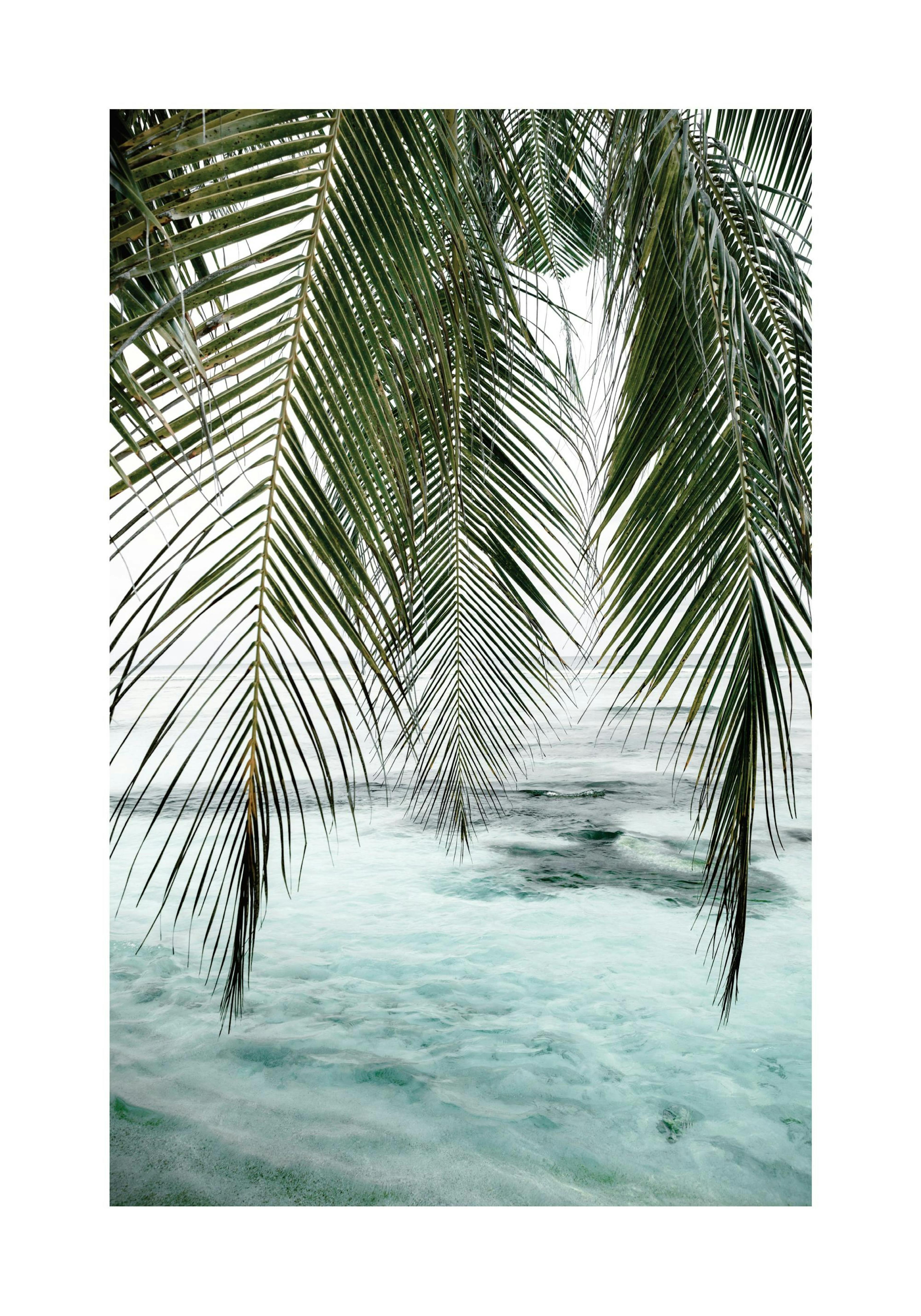 Product image: 1