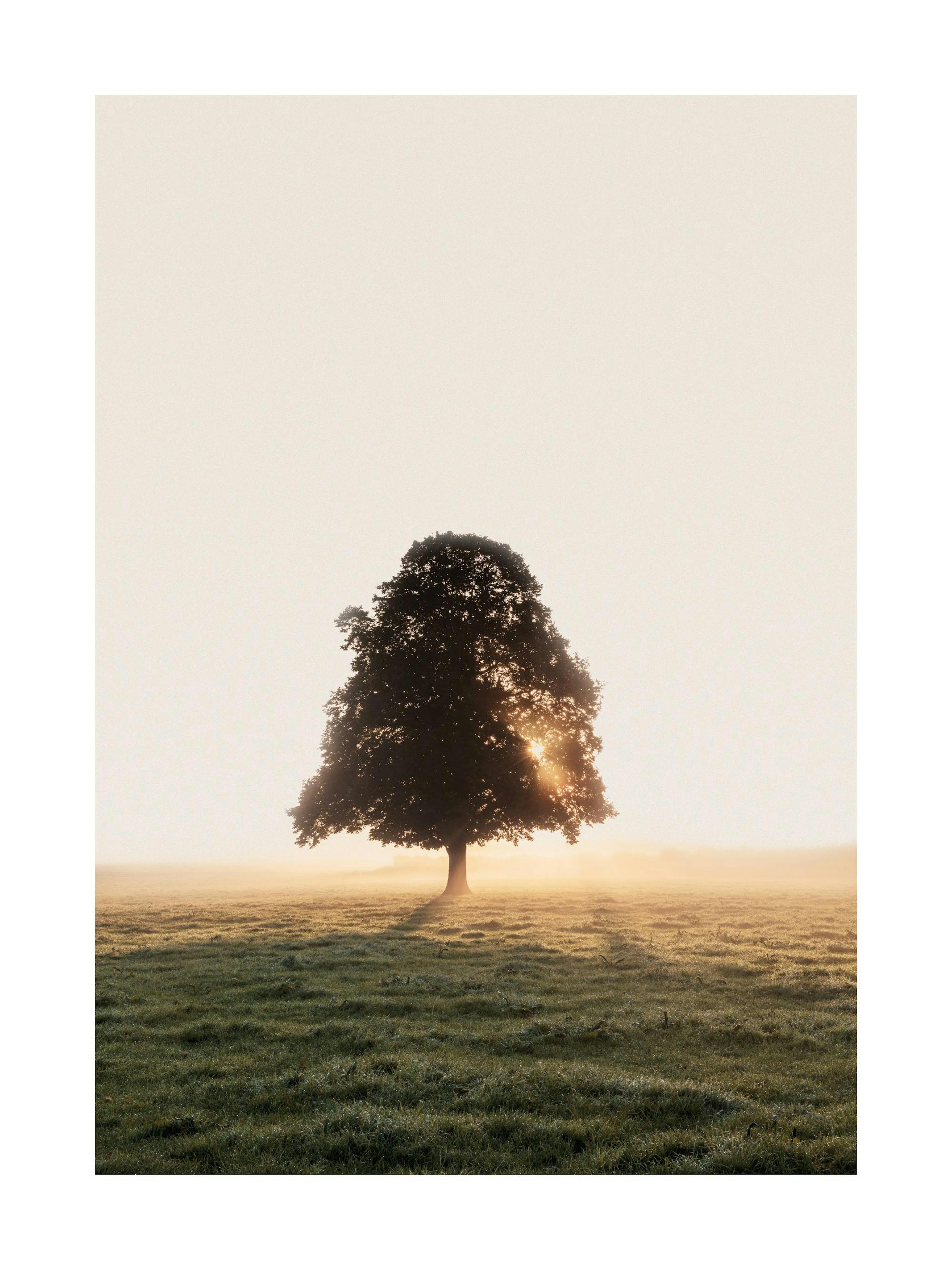 Product image: 1