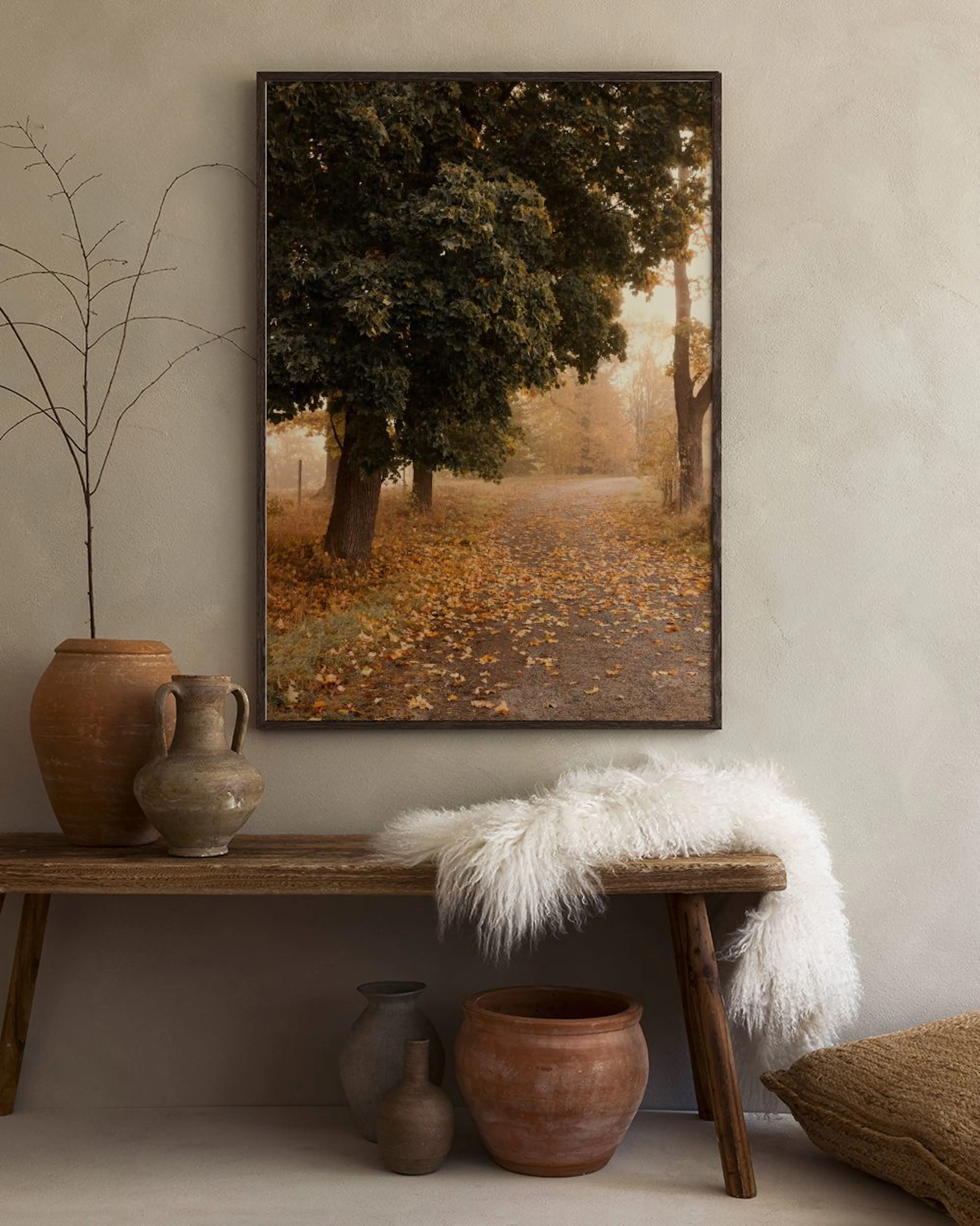 Affiche dun chemin de forêt en automne, avec des arbres aux feuilles vertes et des feuilles tombées, exposée au-dessus dun banc 