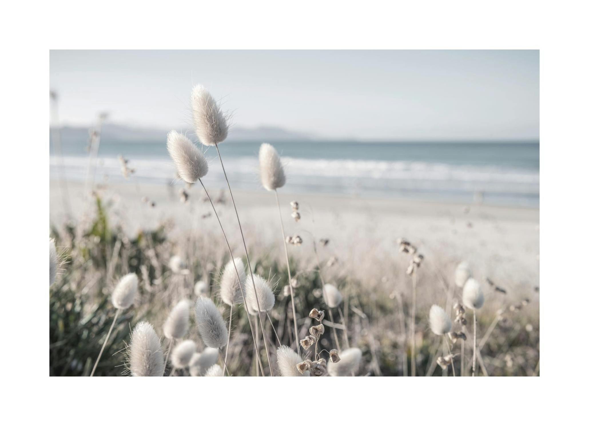 Prints - Beach Dune Grass Print (30x40 cm) - Beach prints