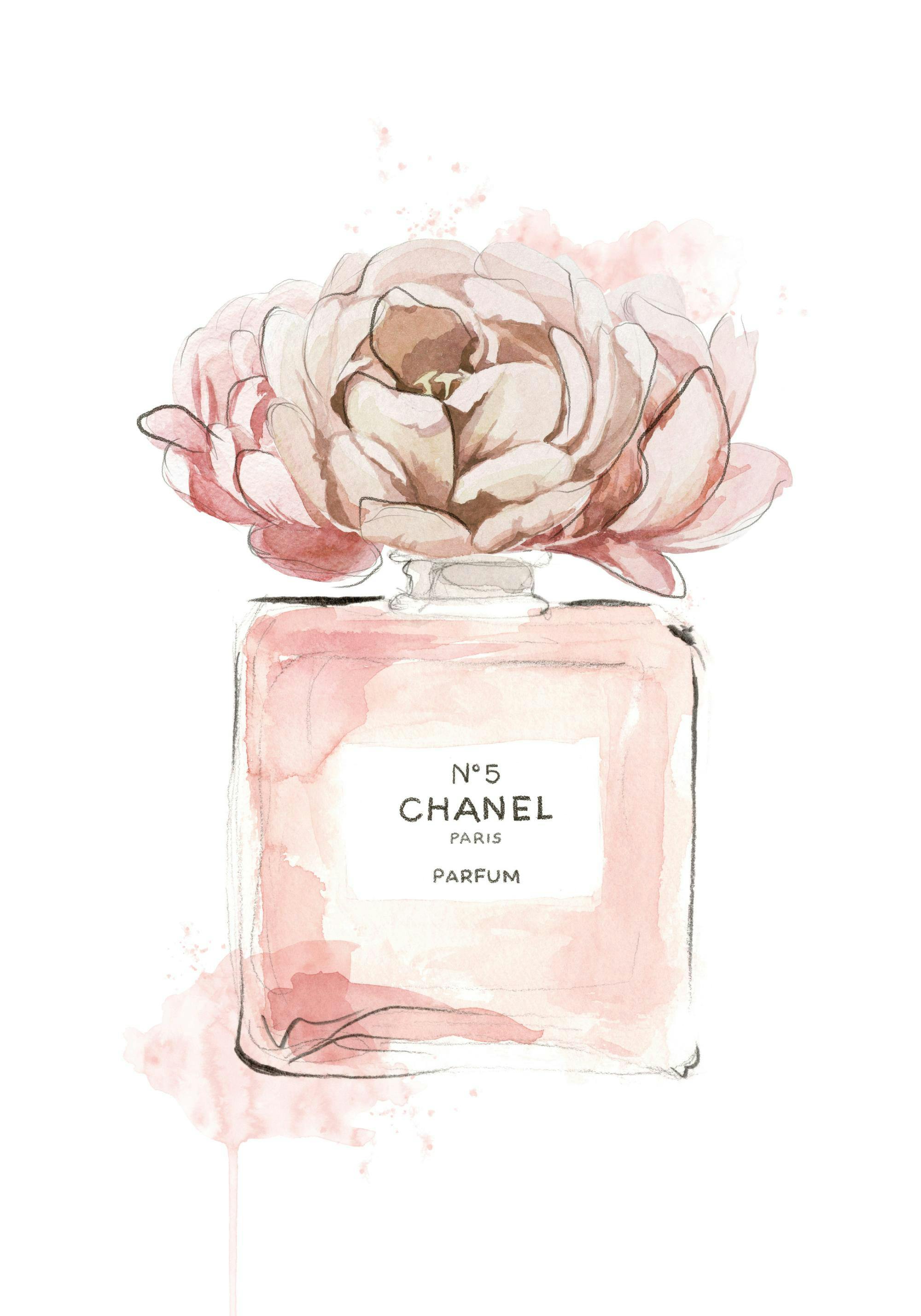 Scent of Roses Print - Main Image