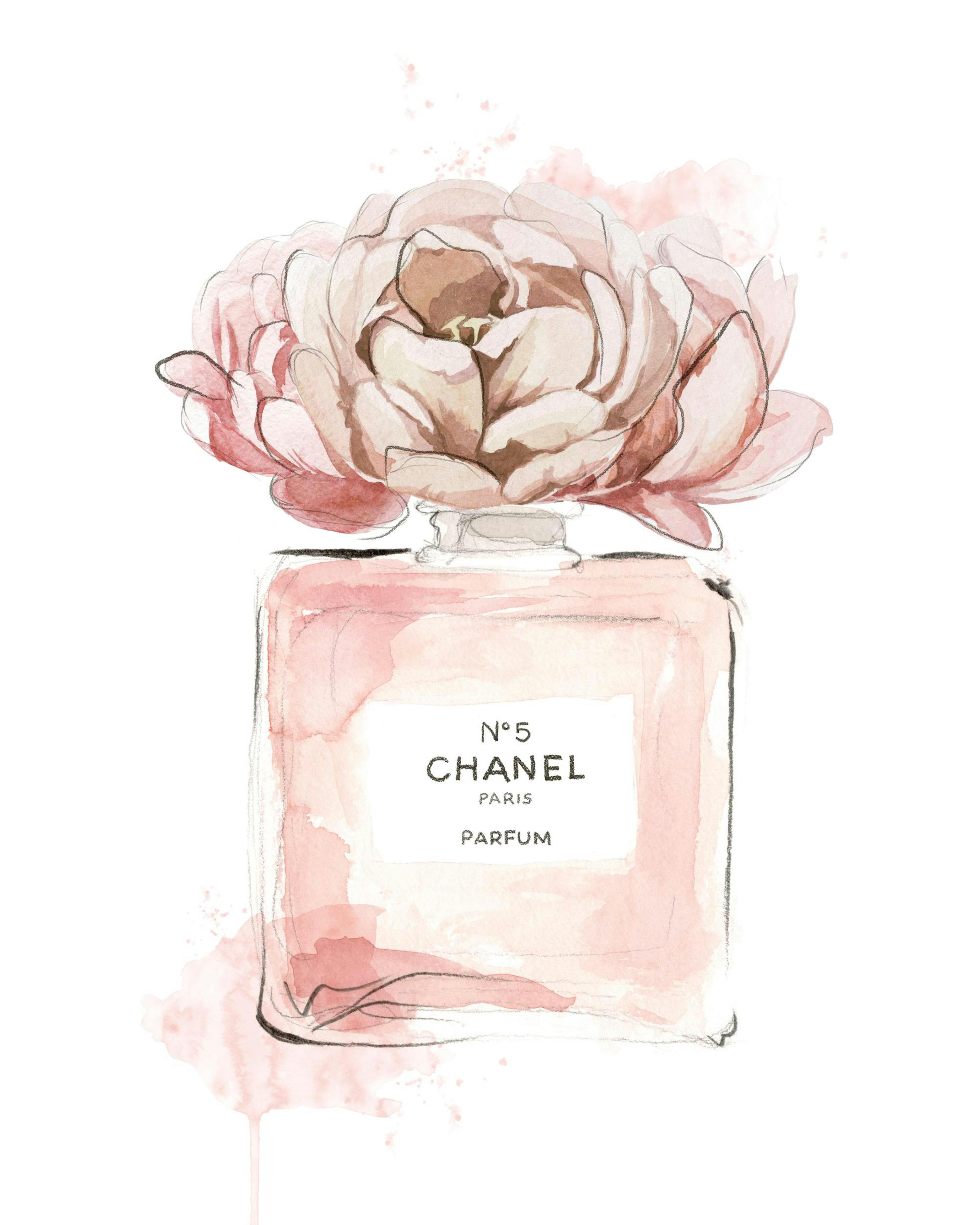 Watercolour painting of a pink perfume bottle with a pink flower, N°5 Chanel Paris Parfum label, white background.