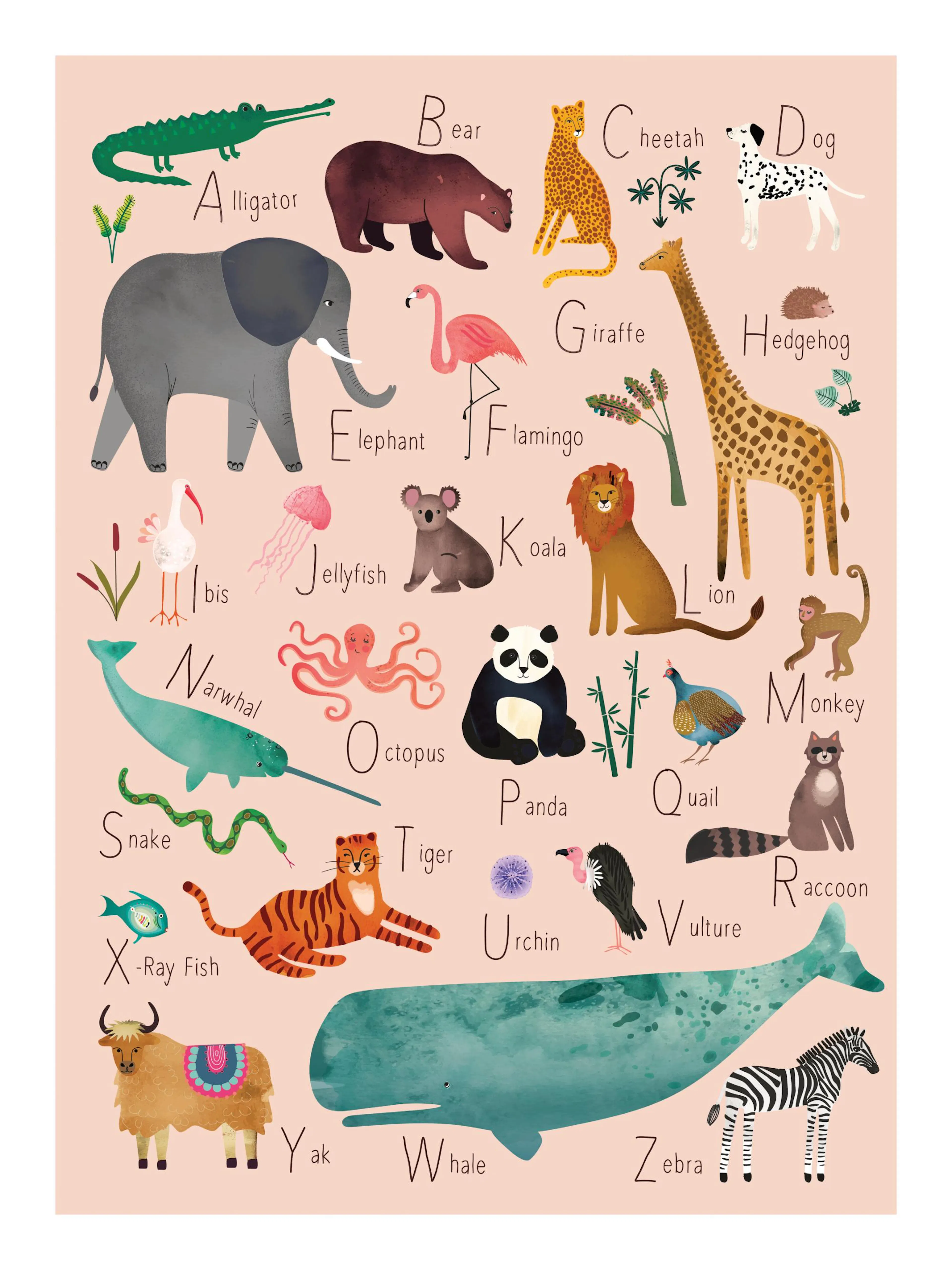 Alphabet-Poster mit bunten Tieren wie Krokodil, Elefant, Bär und Wal auf rosa Hintergrund, jedes Tier beginnt mit einem Buchstab