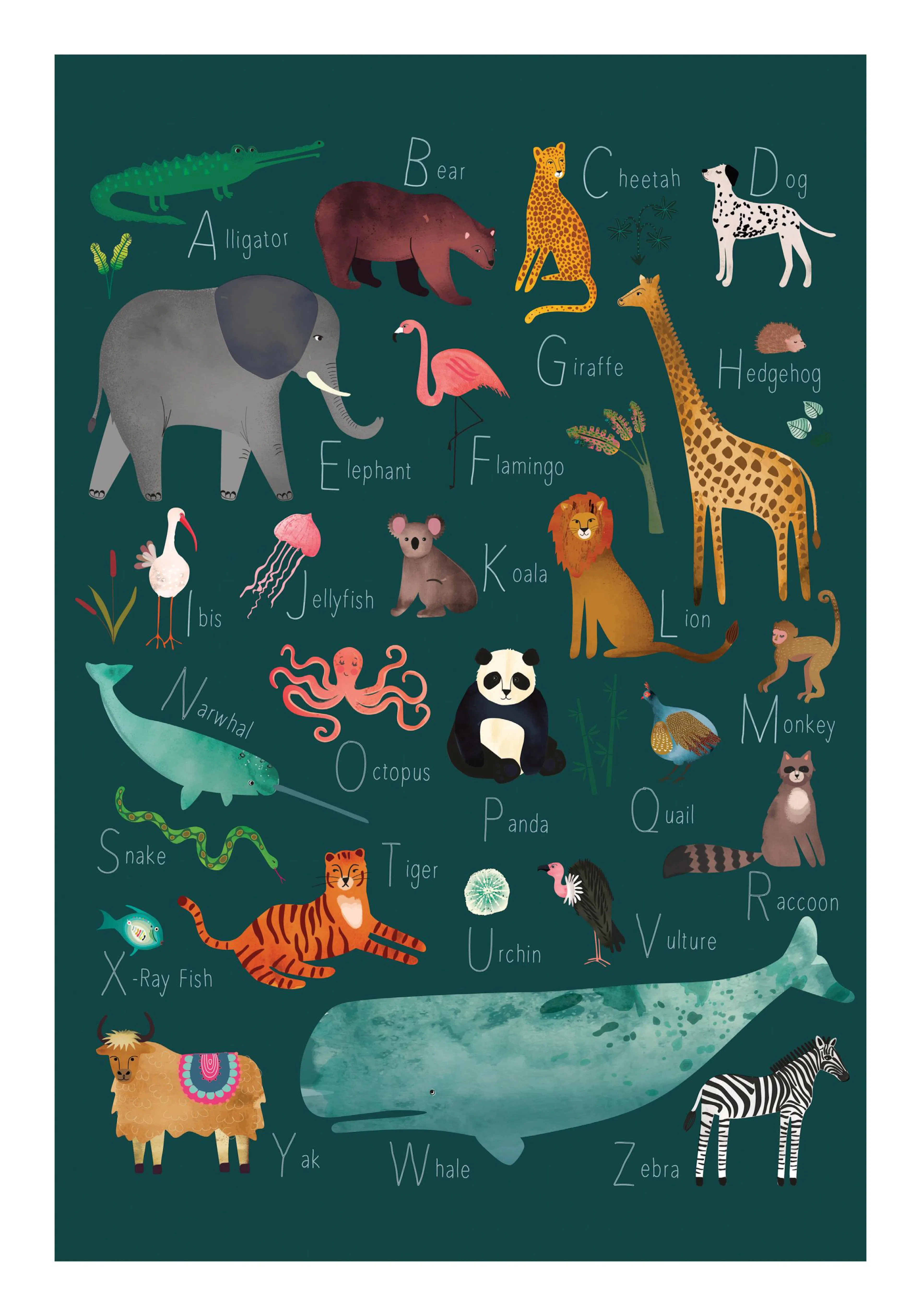 Poster mit Tier-Alphabet auf dunkelgrünem Grund. Jedes Tier steht für einen Buchstaben und sein Name ist darunter geschrieben.