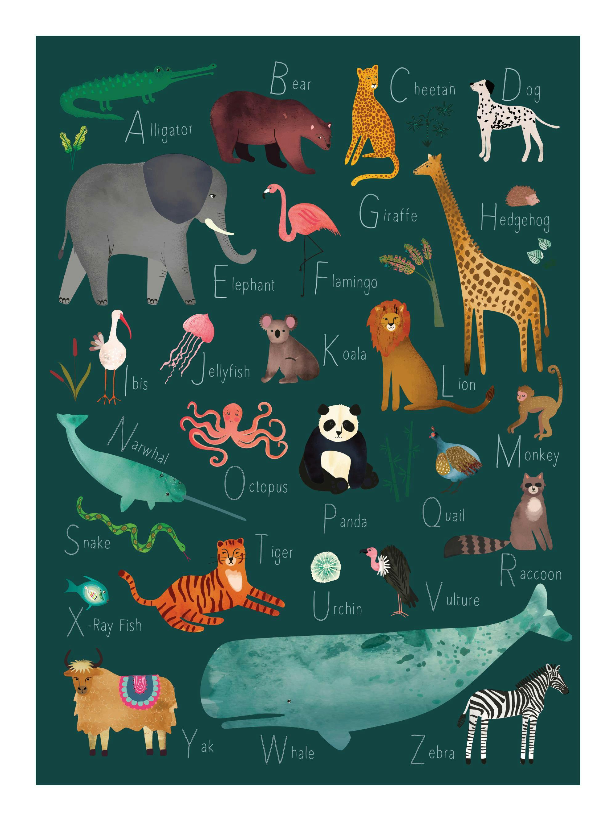 Alphabet Animals Poster – Fun A to Z Animal Print for Kids