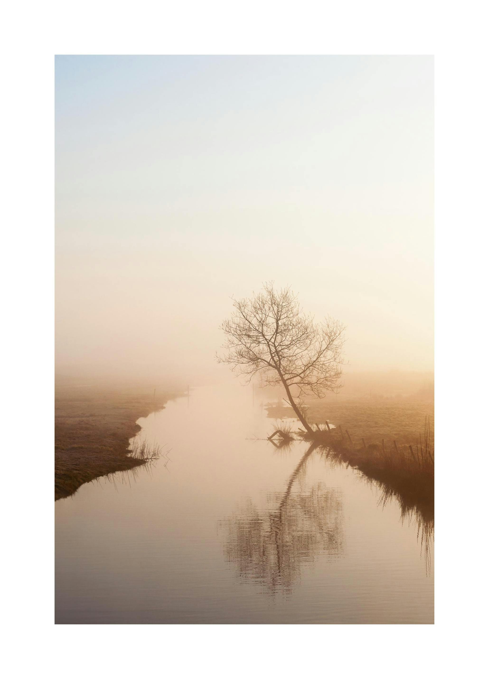 Misty Morning Light Plakat (50x70 cm) - Plakater > Kunstplakater > Fotokunst