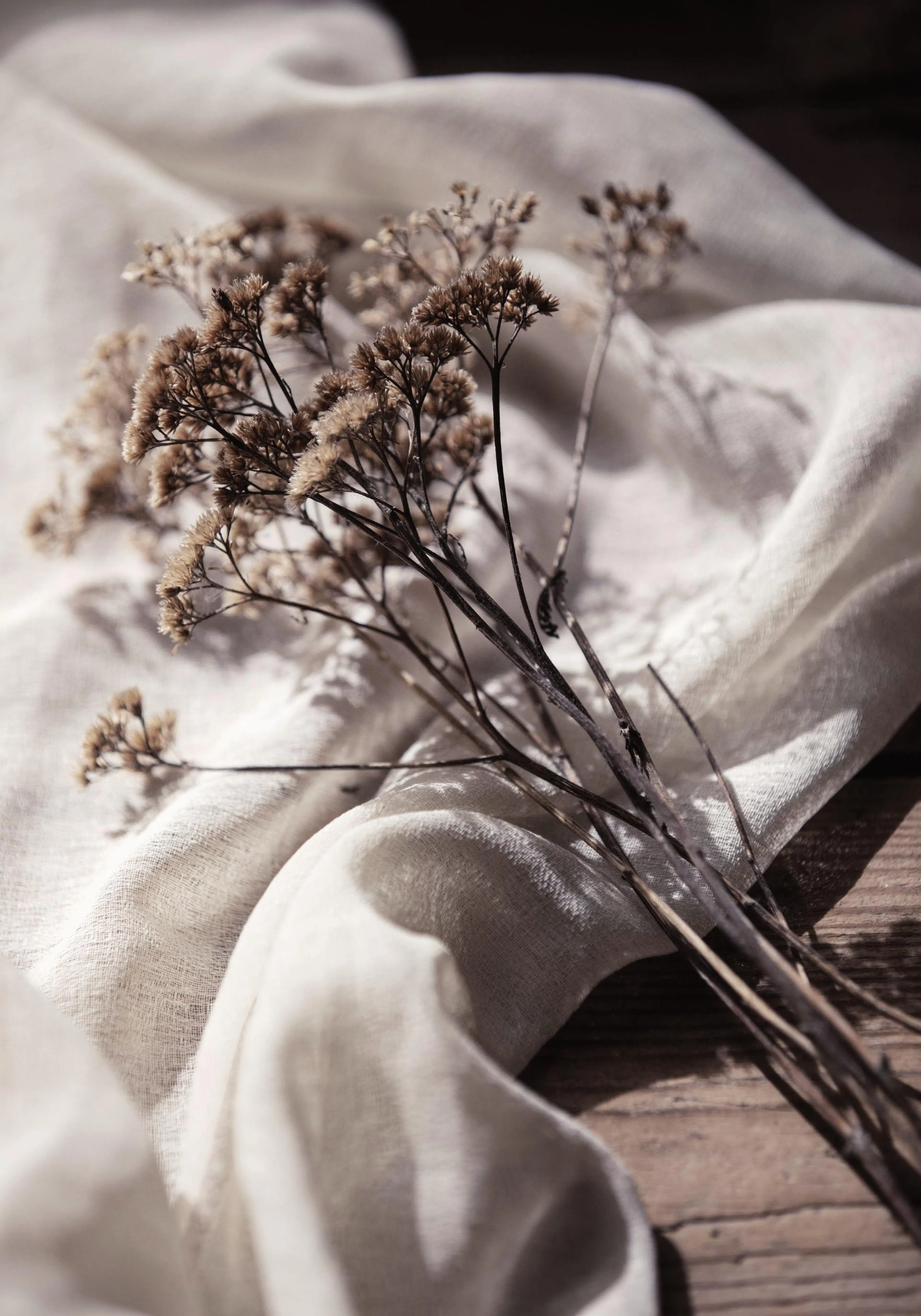 Fotografía de ramillete de flores secas marrones sobre tela de lino blanco, con una estética de botánica seca.