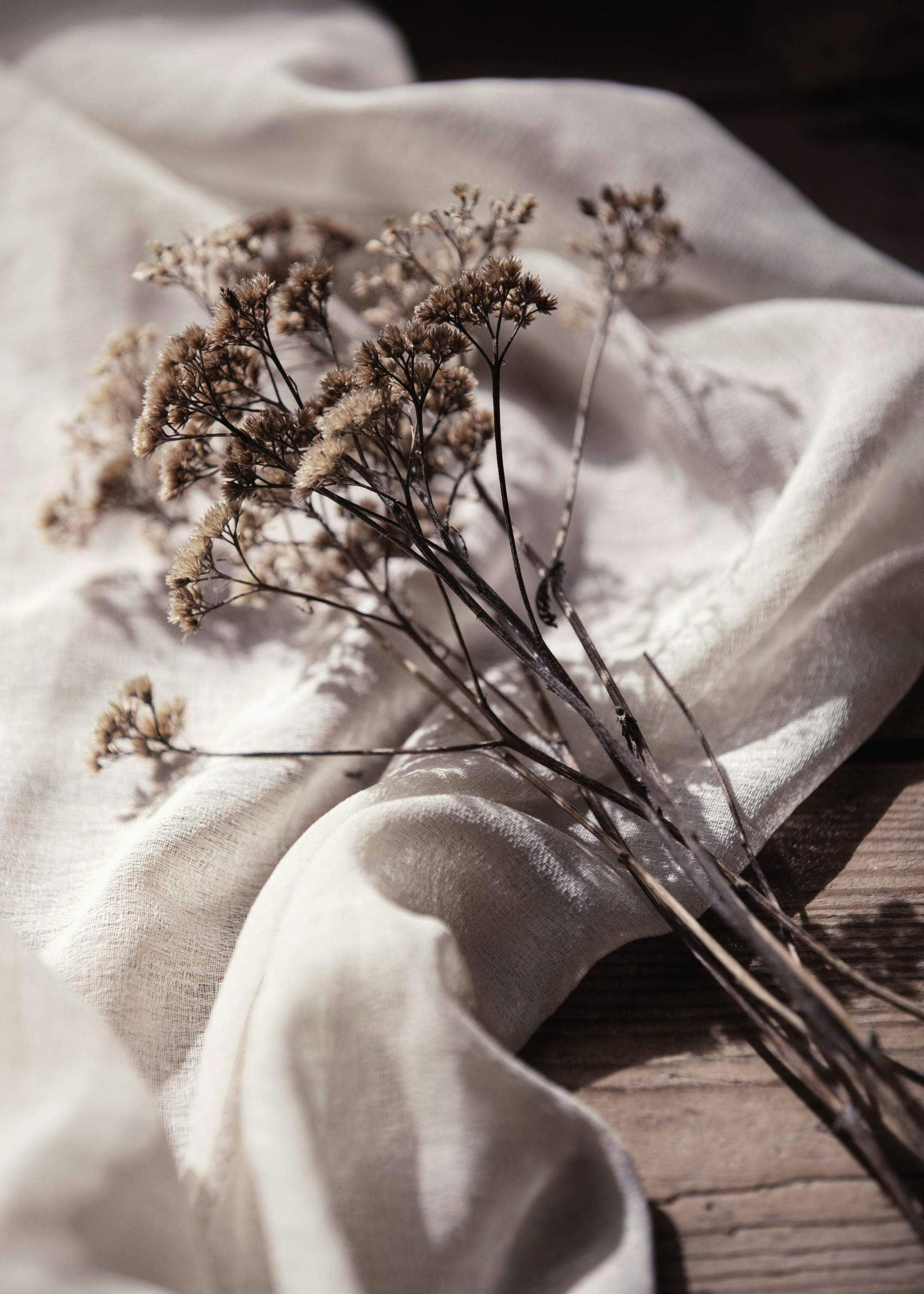 Getrocknete Blumen auf weißem Leinentuch, Stillleben, botanisch, Erdtöne