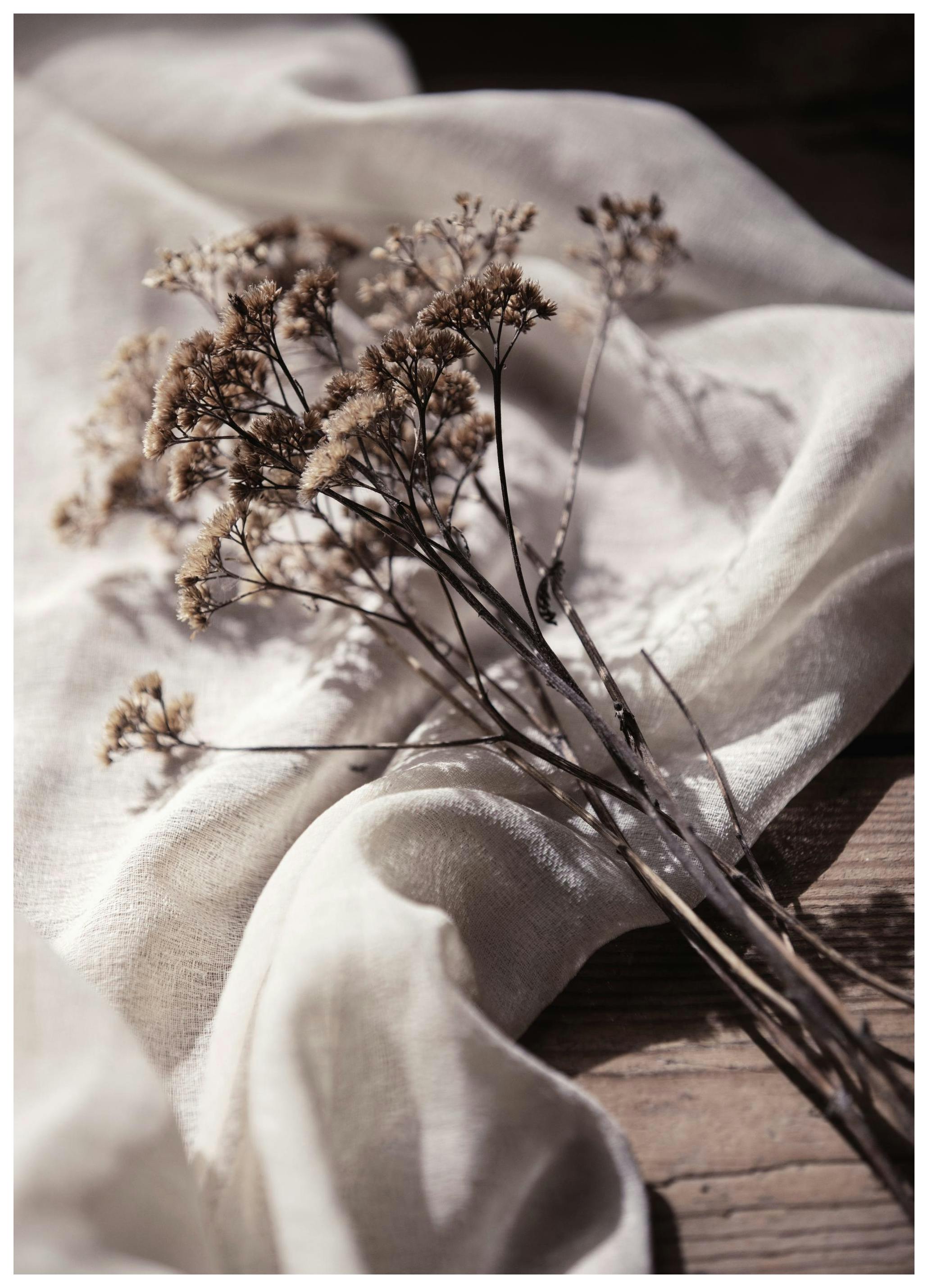 Dried Bed Poster (40x50 cm)- Arte fotográfica