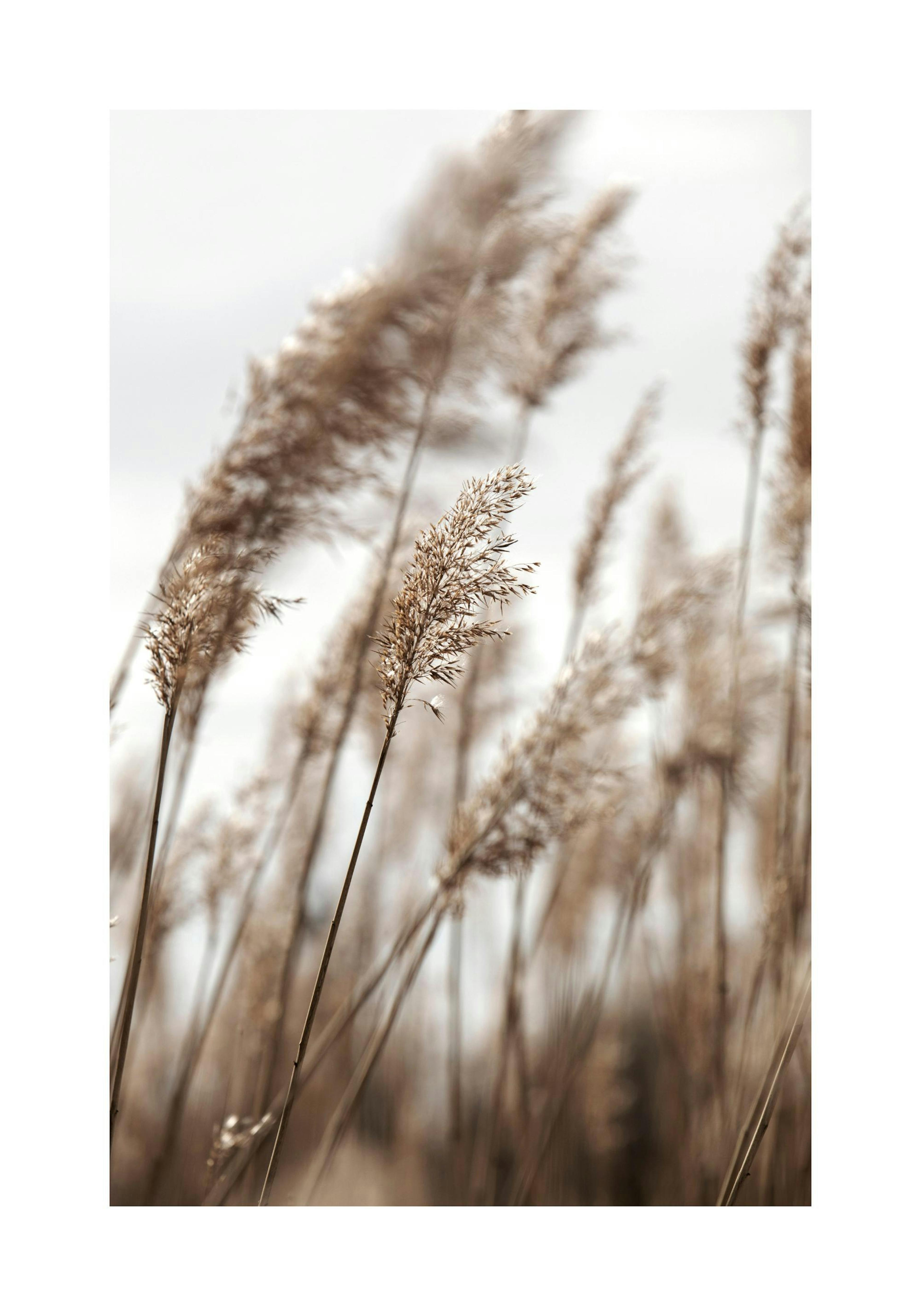 Product image: 1