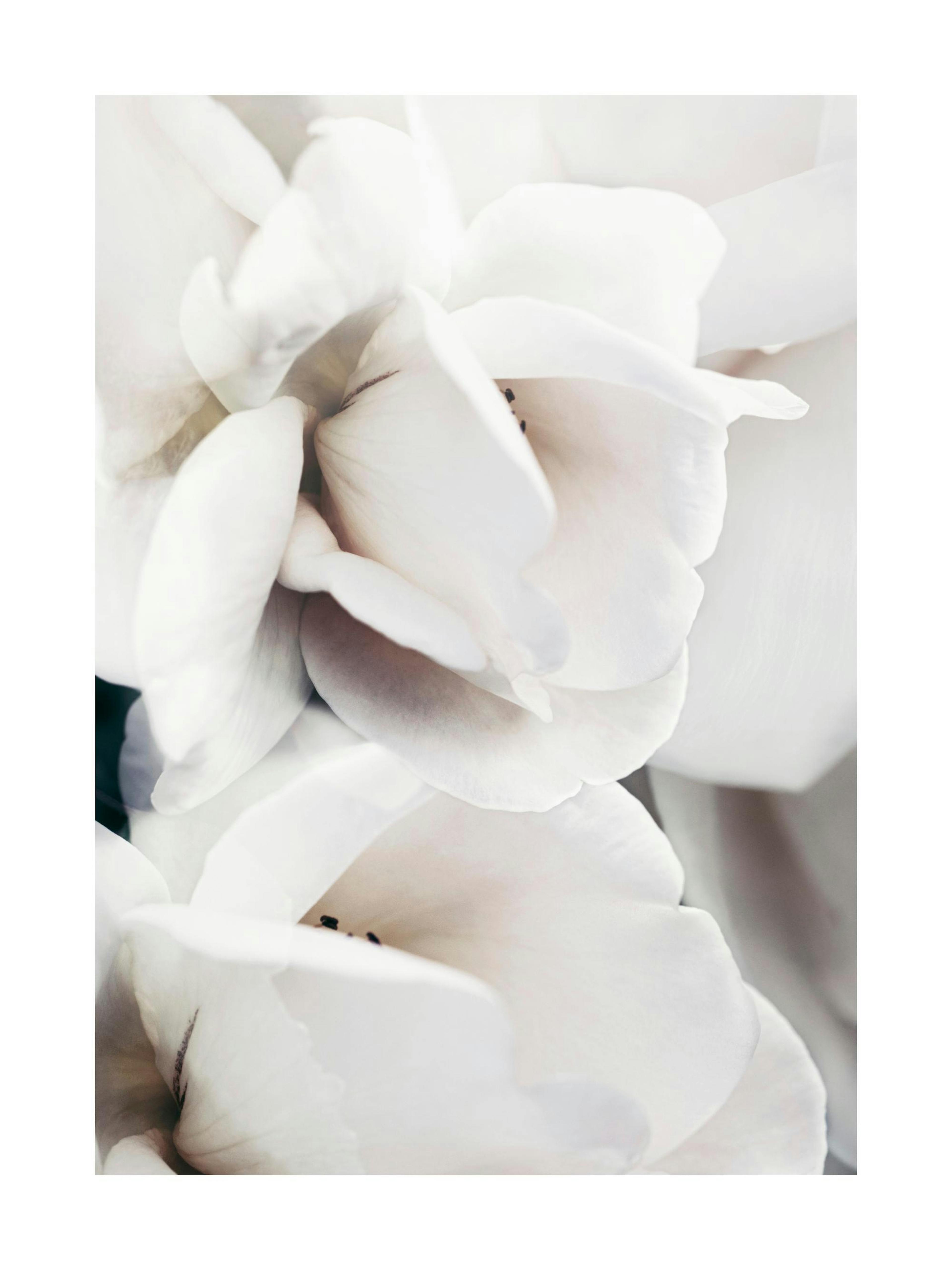 Product image: 1