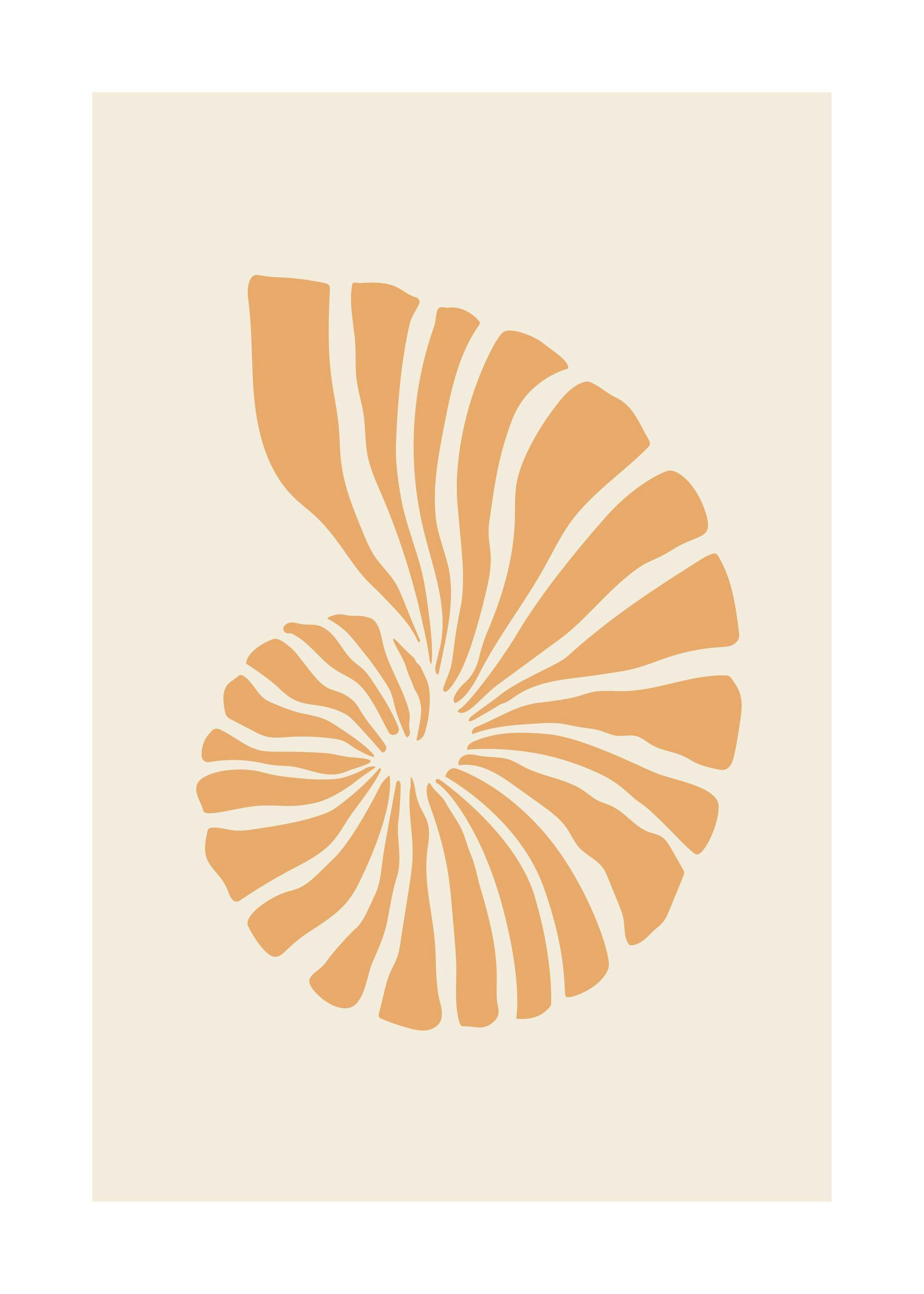Grafische Illustration einer orangefarbenen Muschel auf hellbeigem Hintergrund, minimalistischer Nautilusschale-Kunstdruck