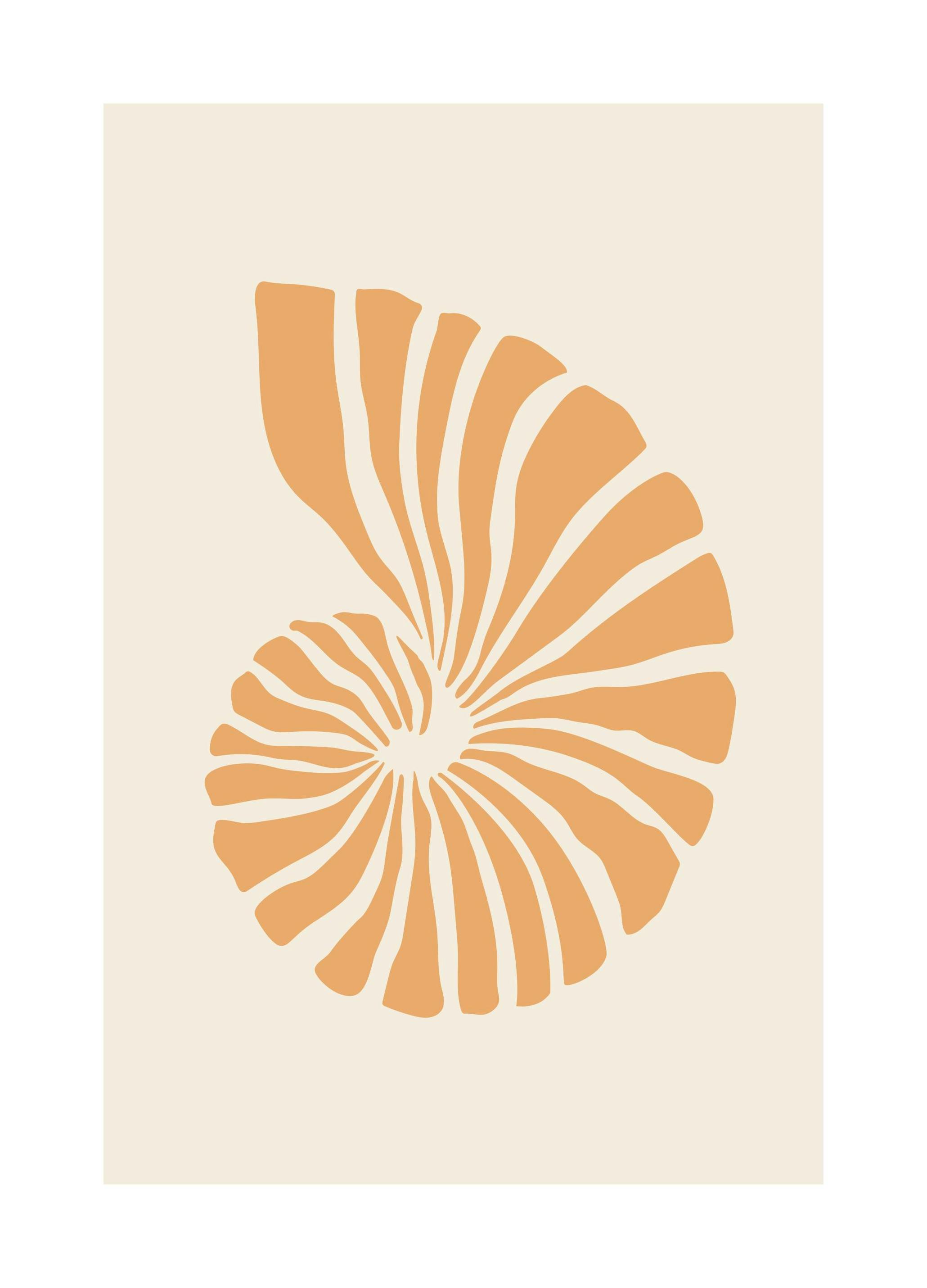 Pastel Seashell Poster (50x70 cm) - Grafische posters