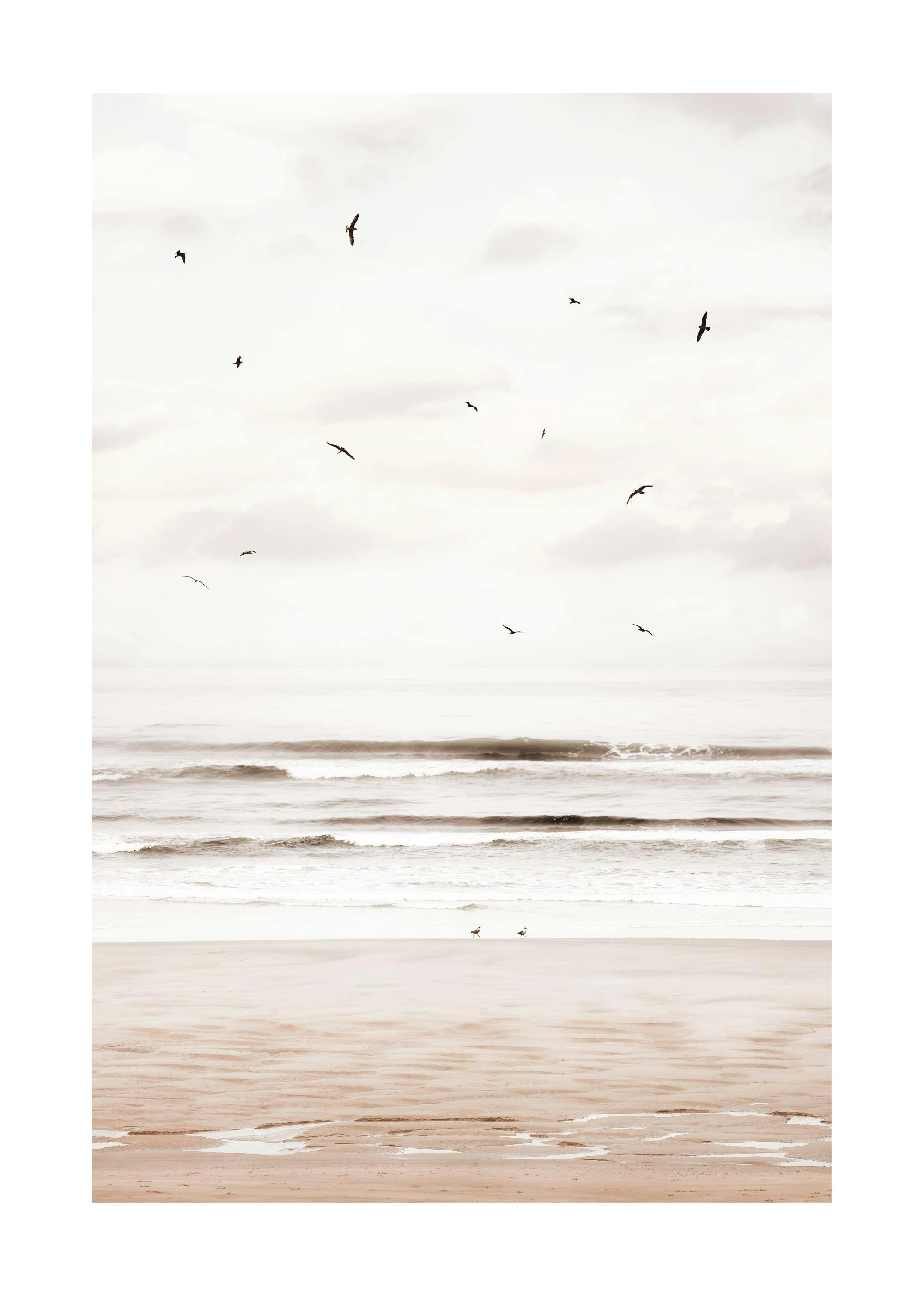 Fotografie eines Strandes mit Vögeln am Meer unter bewölktem Himmel. Naturposter für Ruhe und Entspannung.