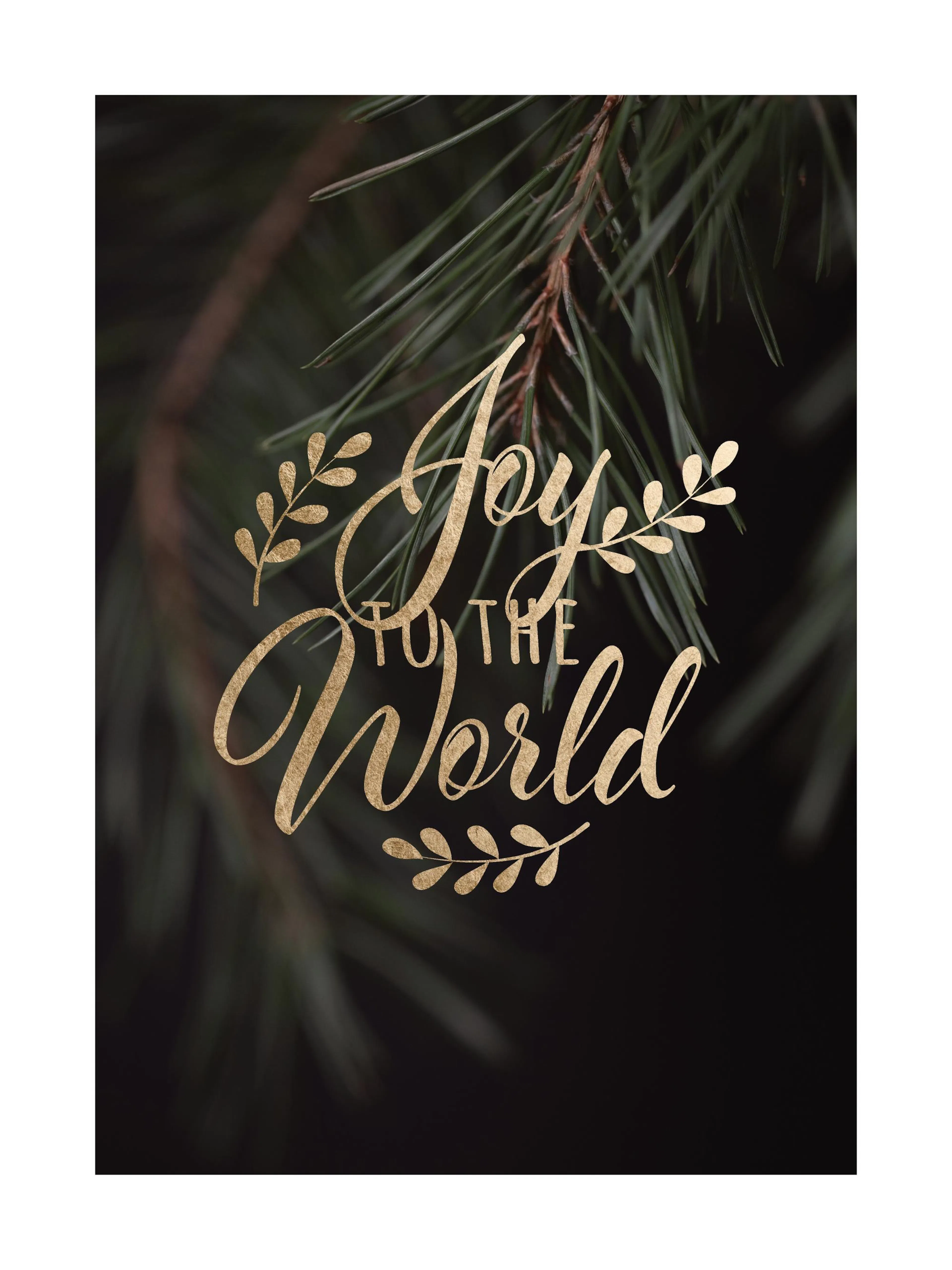 Poster met goudkleurige tekst Joy to the World en bladeren op een achtergrond van dennennaalden.