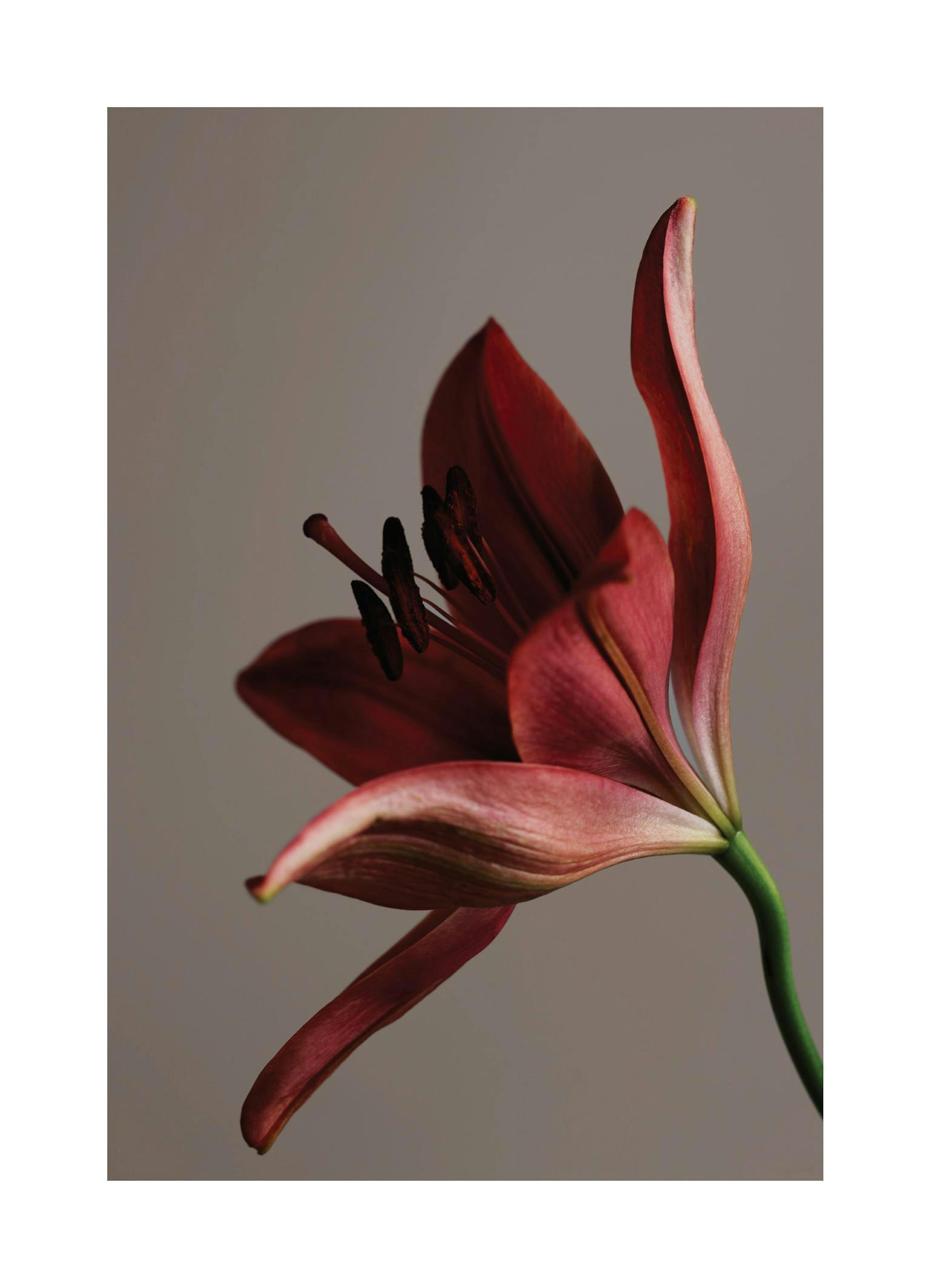 Product image: 1