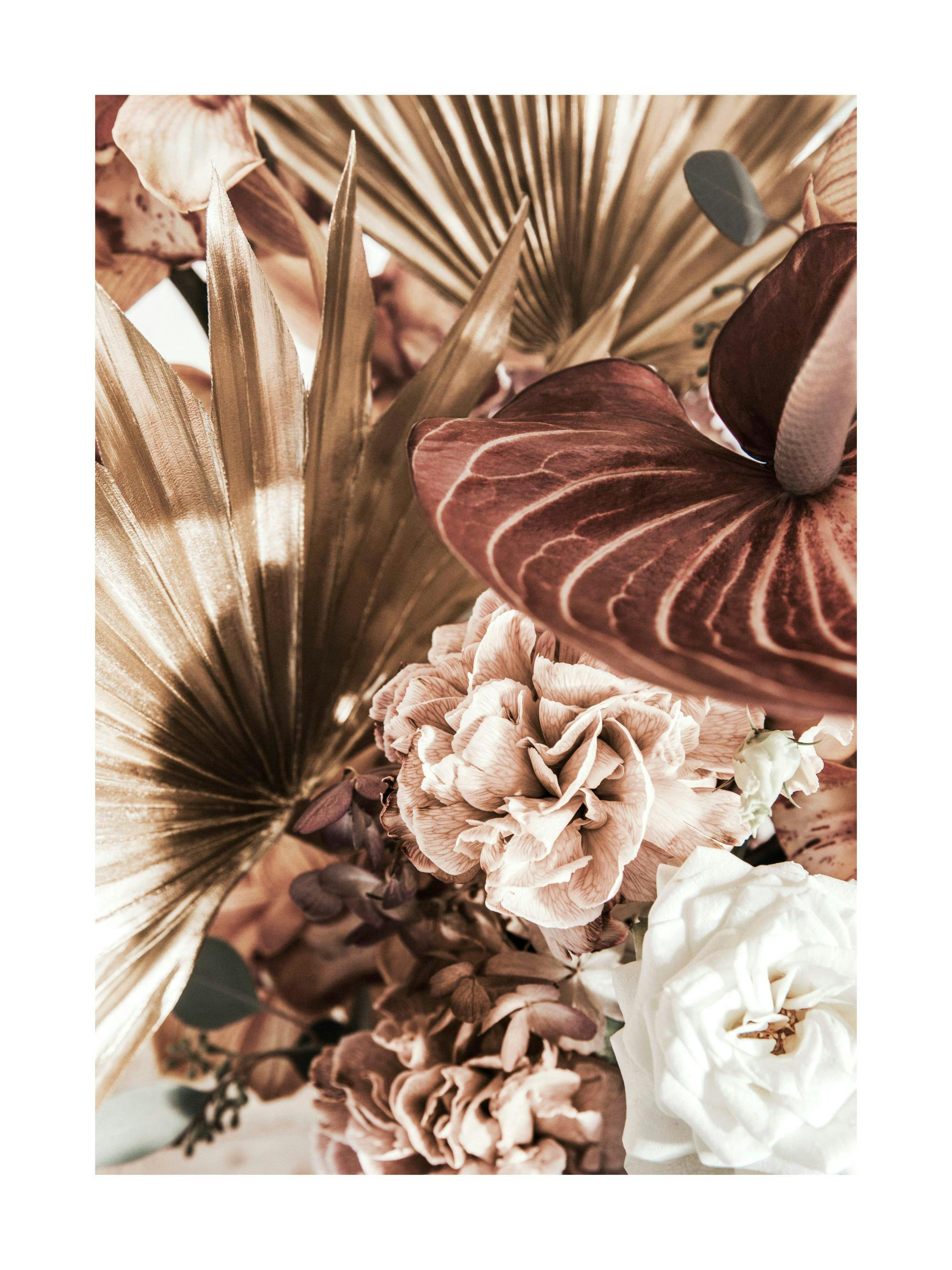 Fotografi av en bukett med rosa, mörkröda och vita blommor med veckade blad. Blommotiv i varma färger.