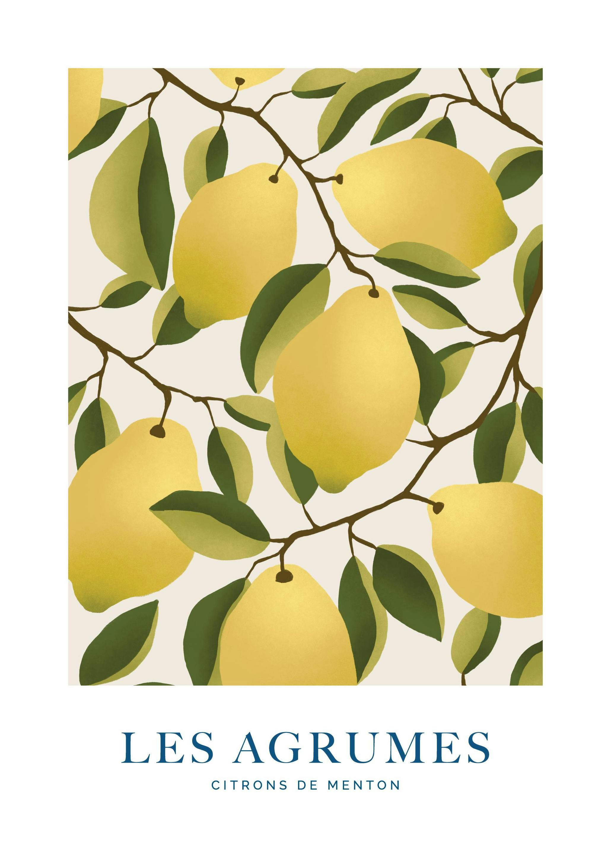 Les Agrumes No1 Poster (21x30 cm)