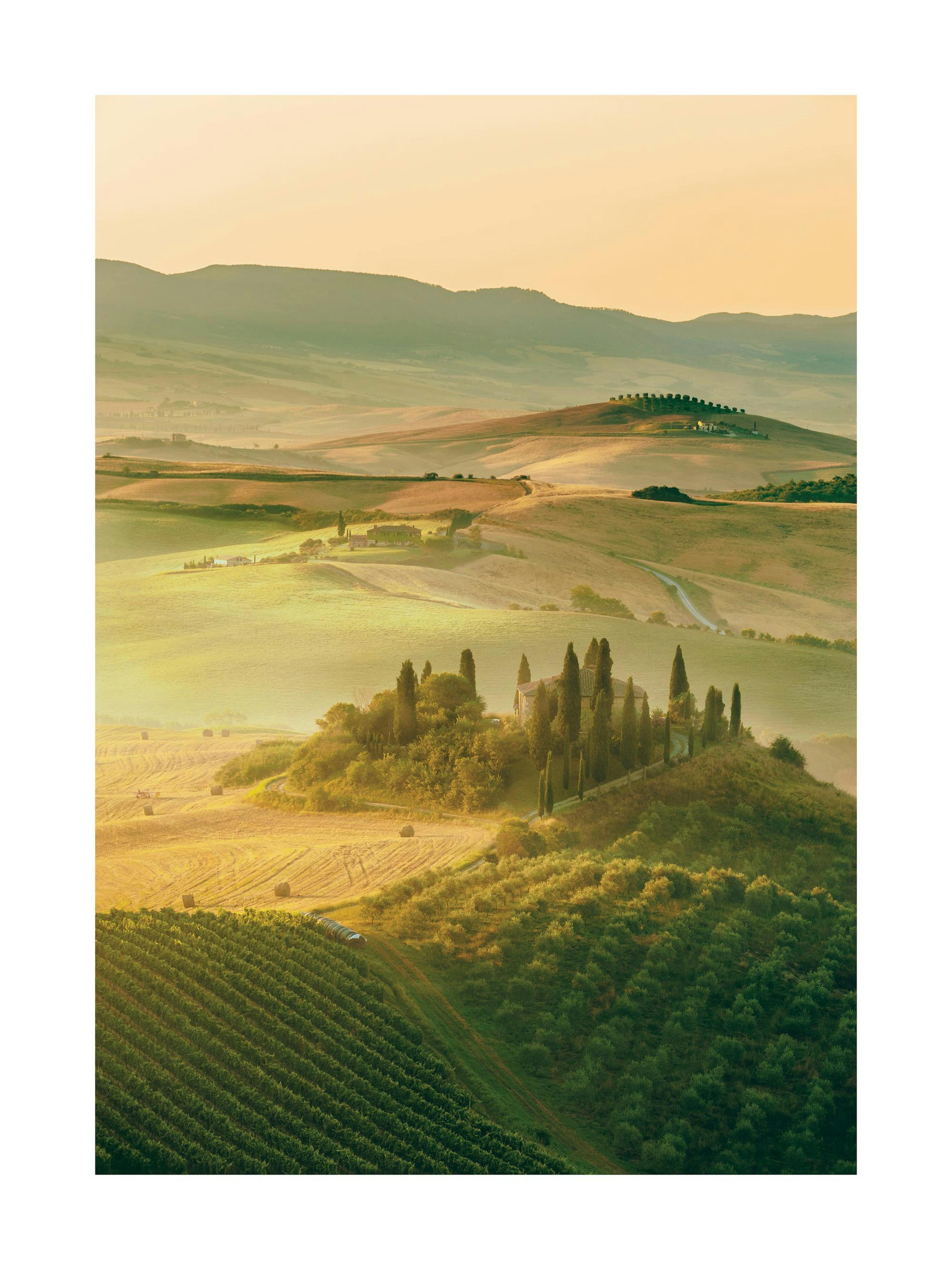 Tuscany landscape print with green hills, fields, and cypress trees at sunset, perfect for a poster.