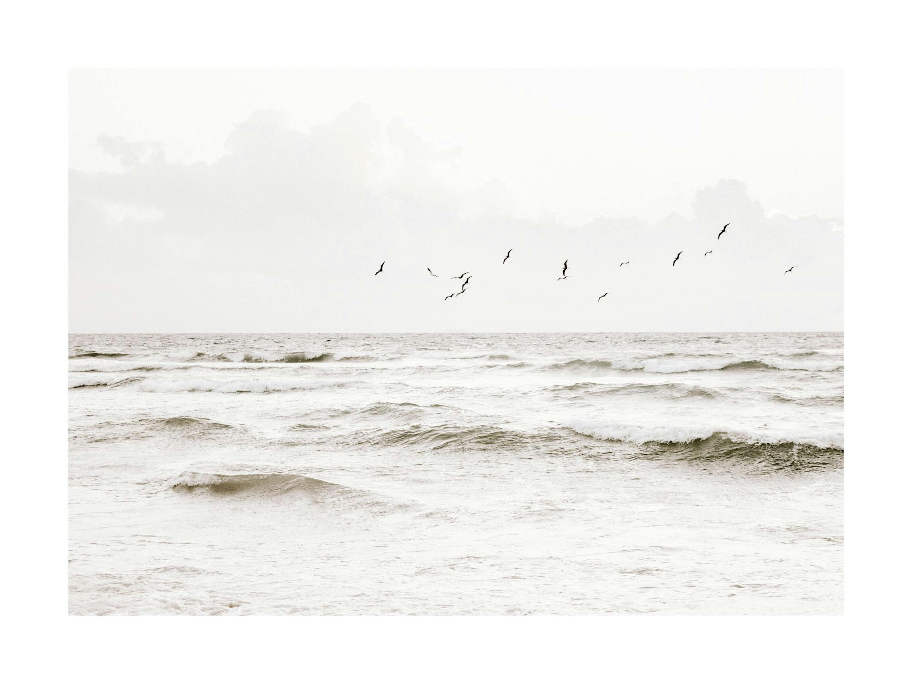 Flock of seabirds flying over an ocean, a calming nature print poster