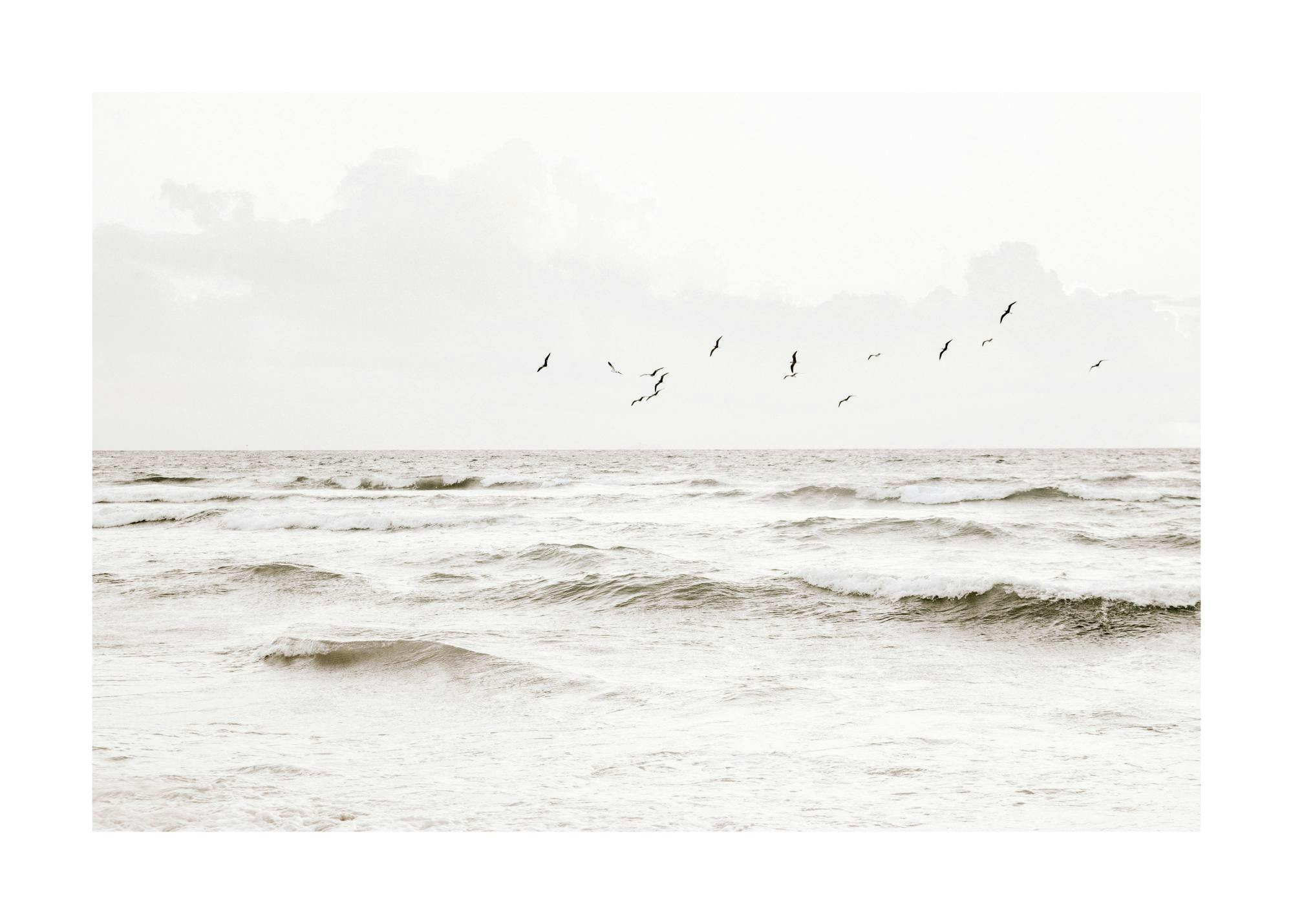 Flock of seabirds flying over an ocean, a calming nature print poster