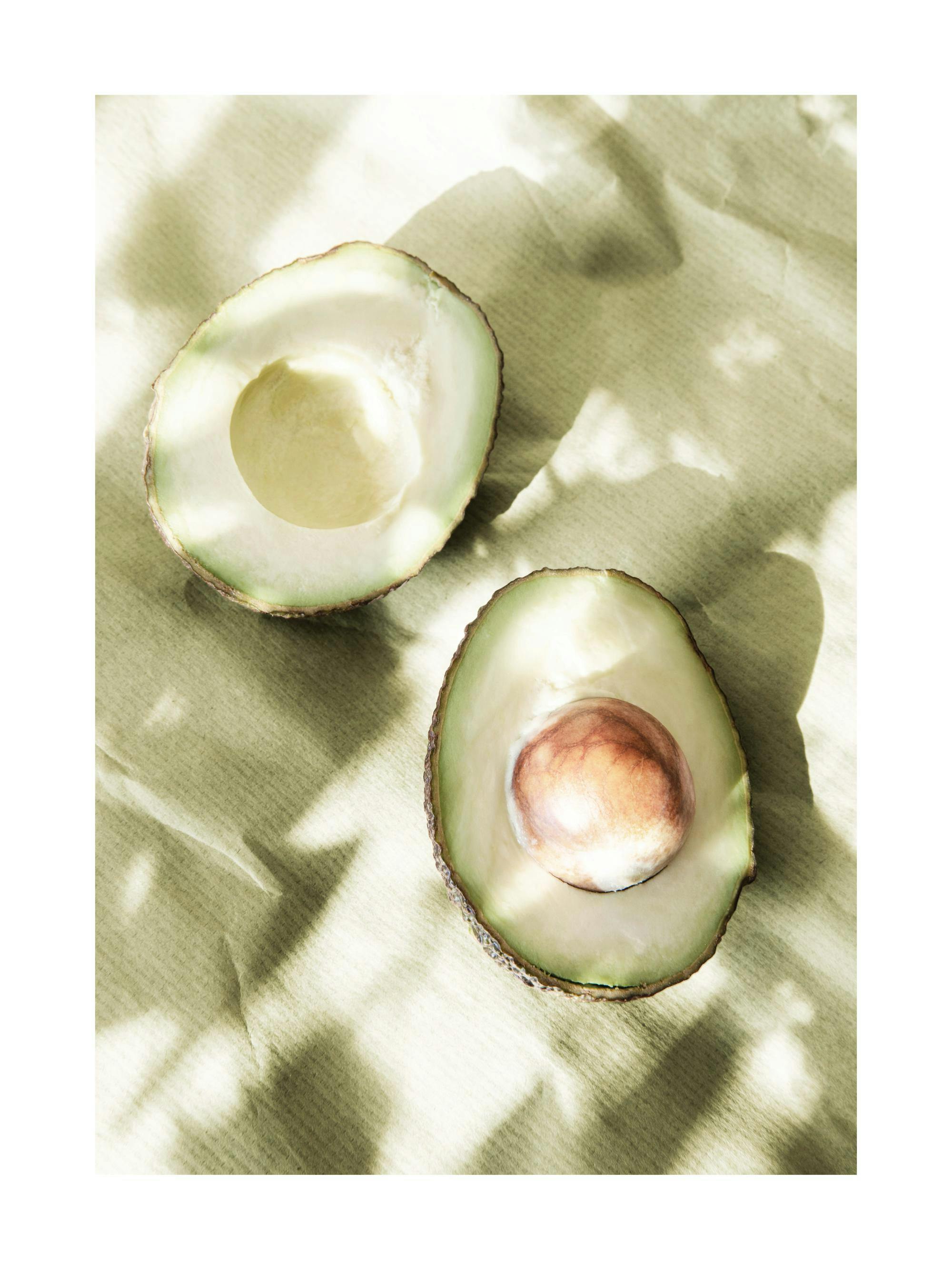 Affiche de deux avocats coupés en deux sur papier vert avec des ombres