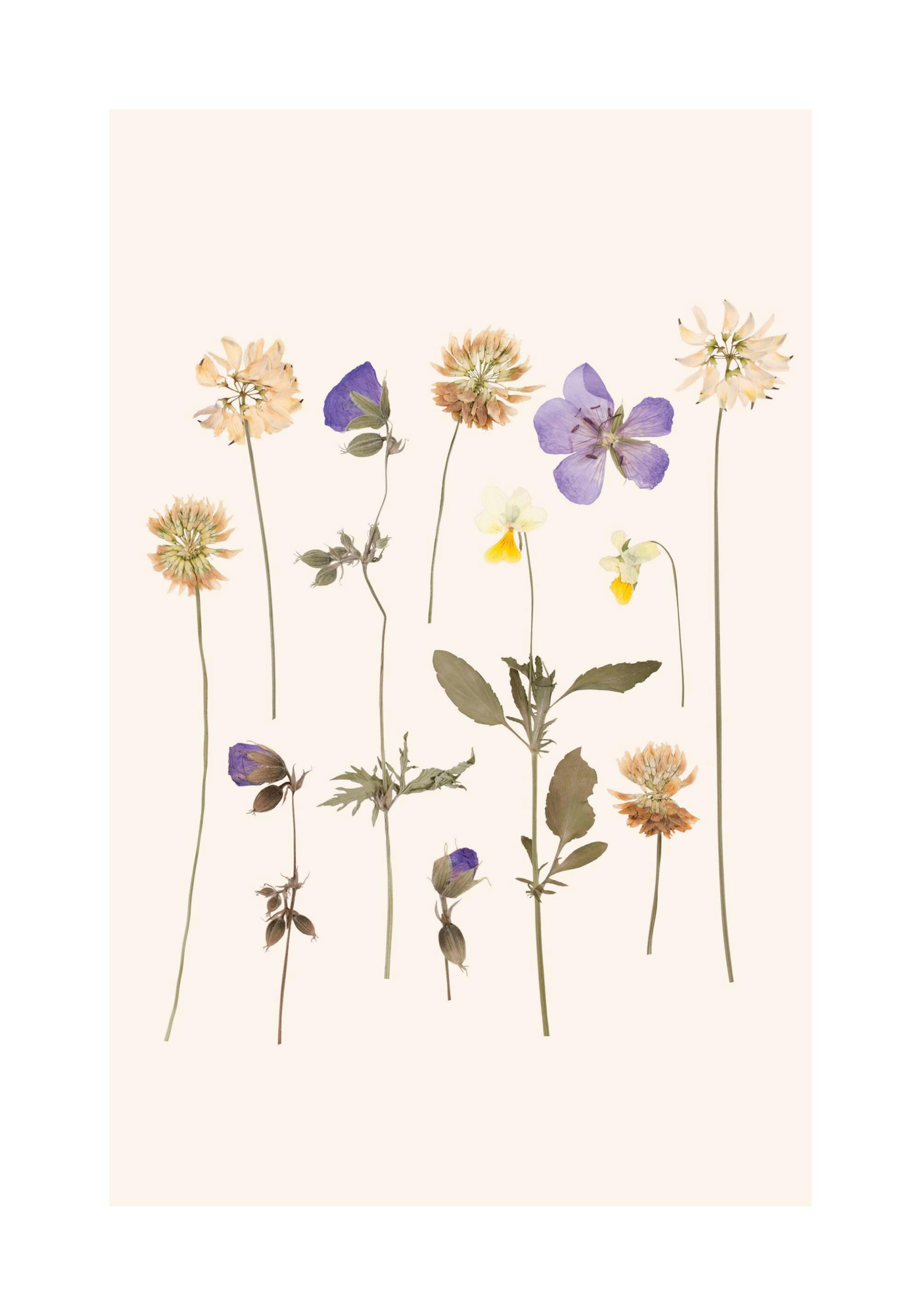 Product image: 1