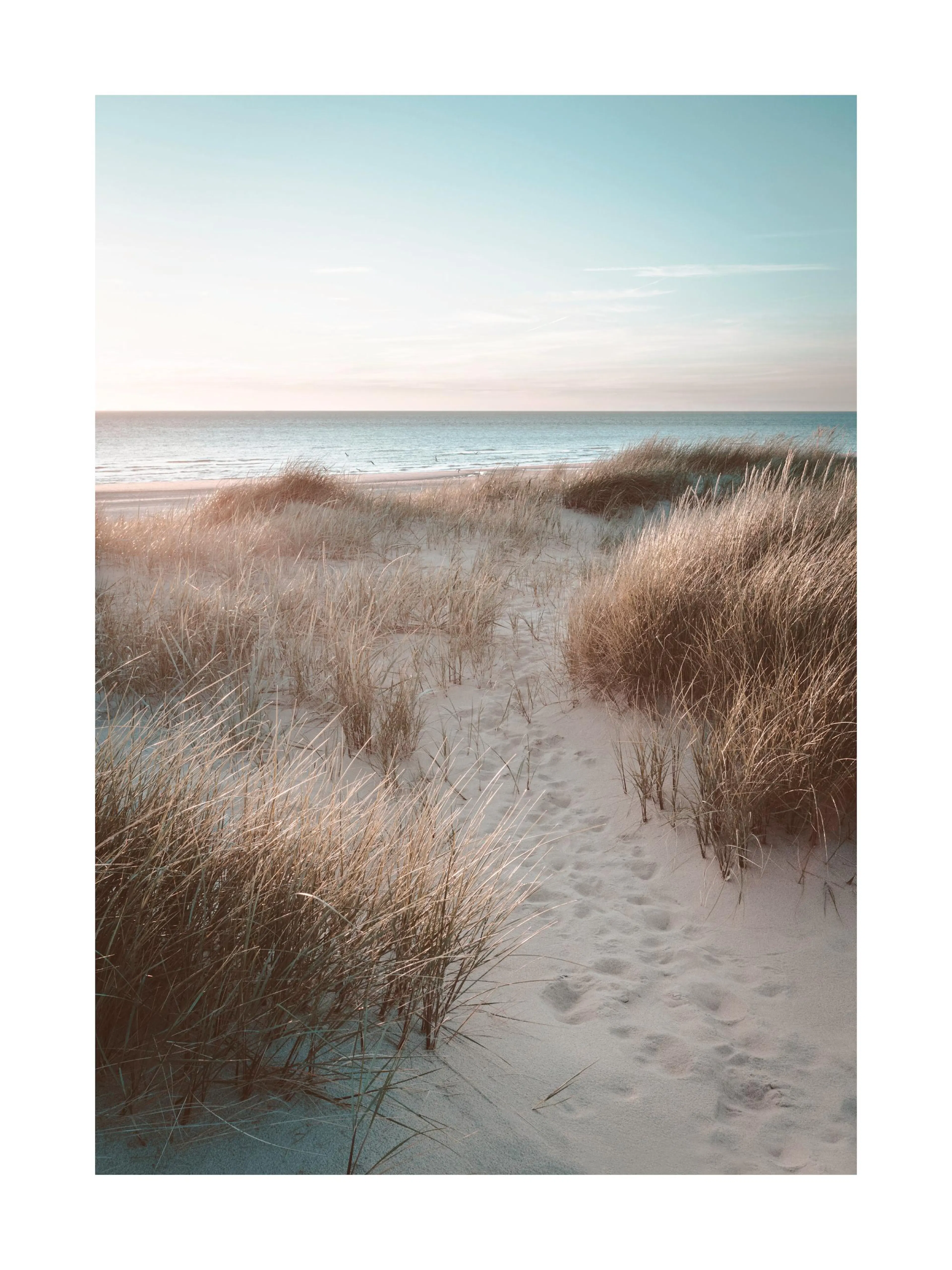 Póster de dunas de areia com relva e trilho na praia ao pôr do sol, oceano e céu azul claro.