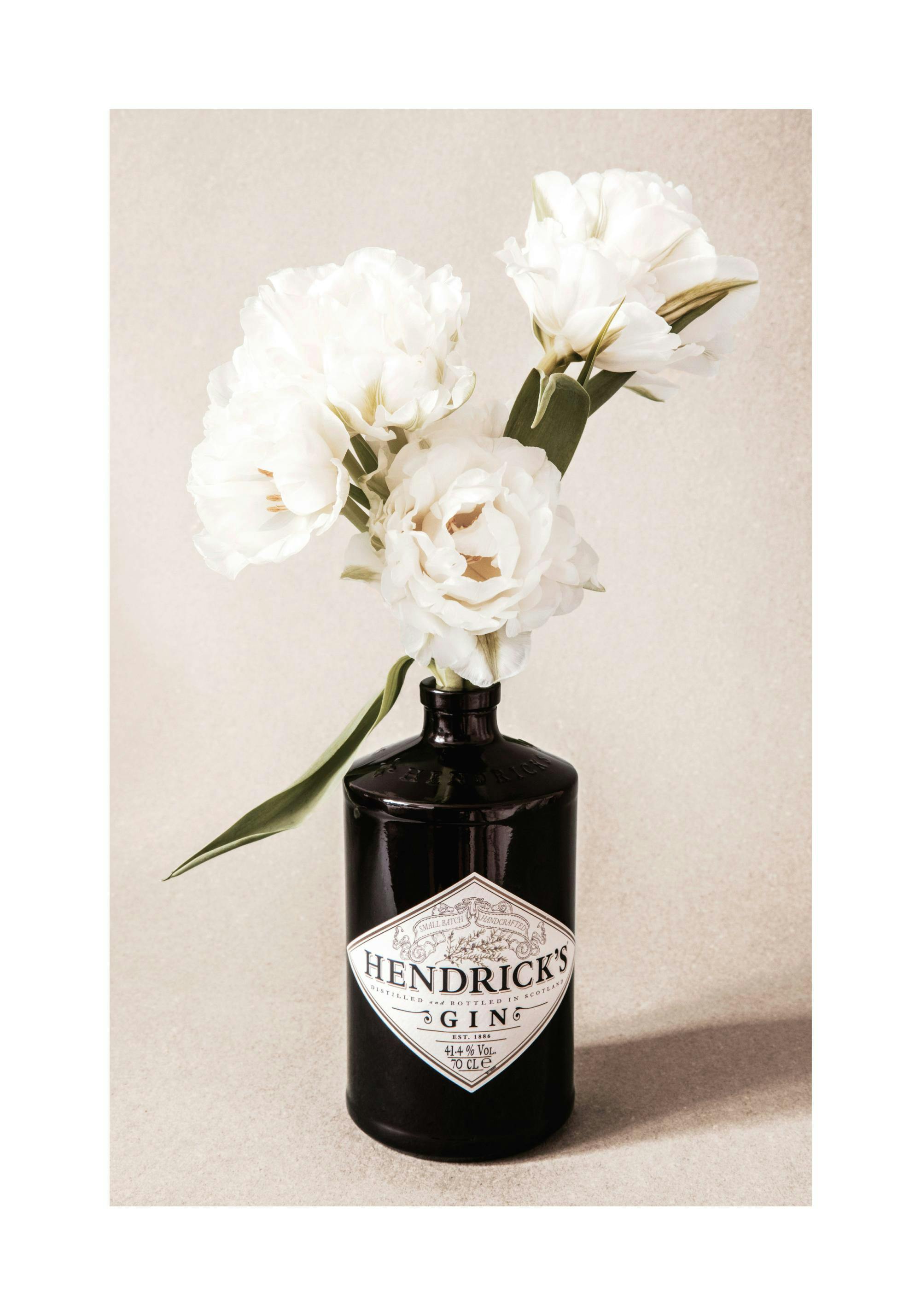 Póster de fotografía de botella de ginebra negra con flores blancas y fondo beige granulado.