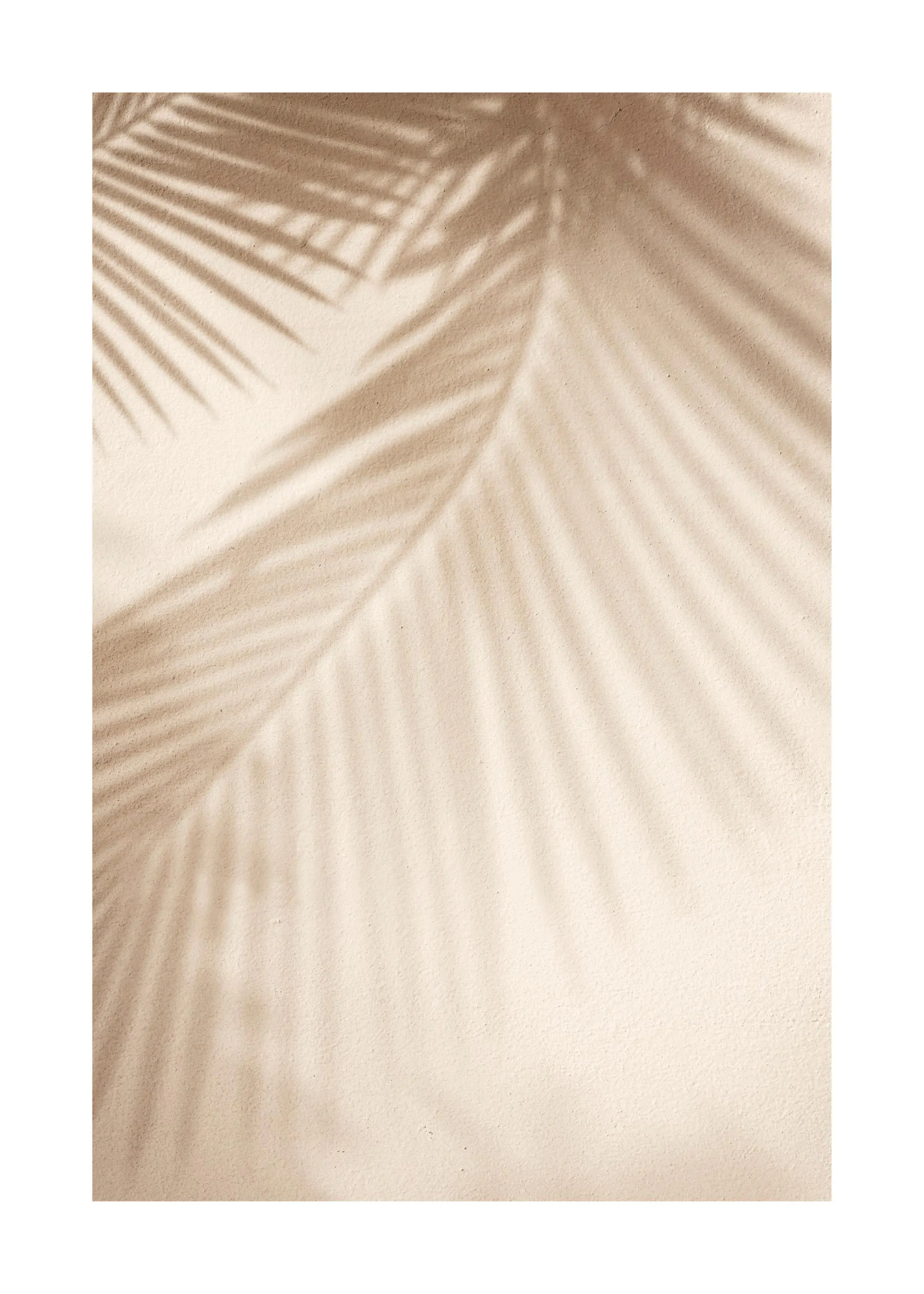 Leaf shadow poster print on a light beige wall with rough texture