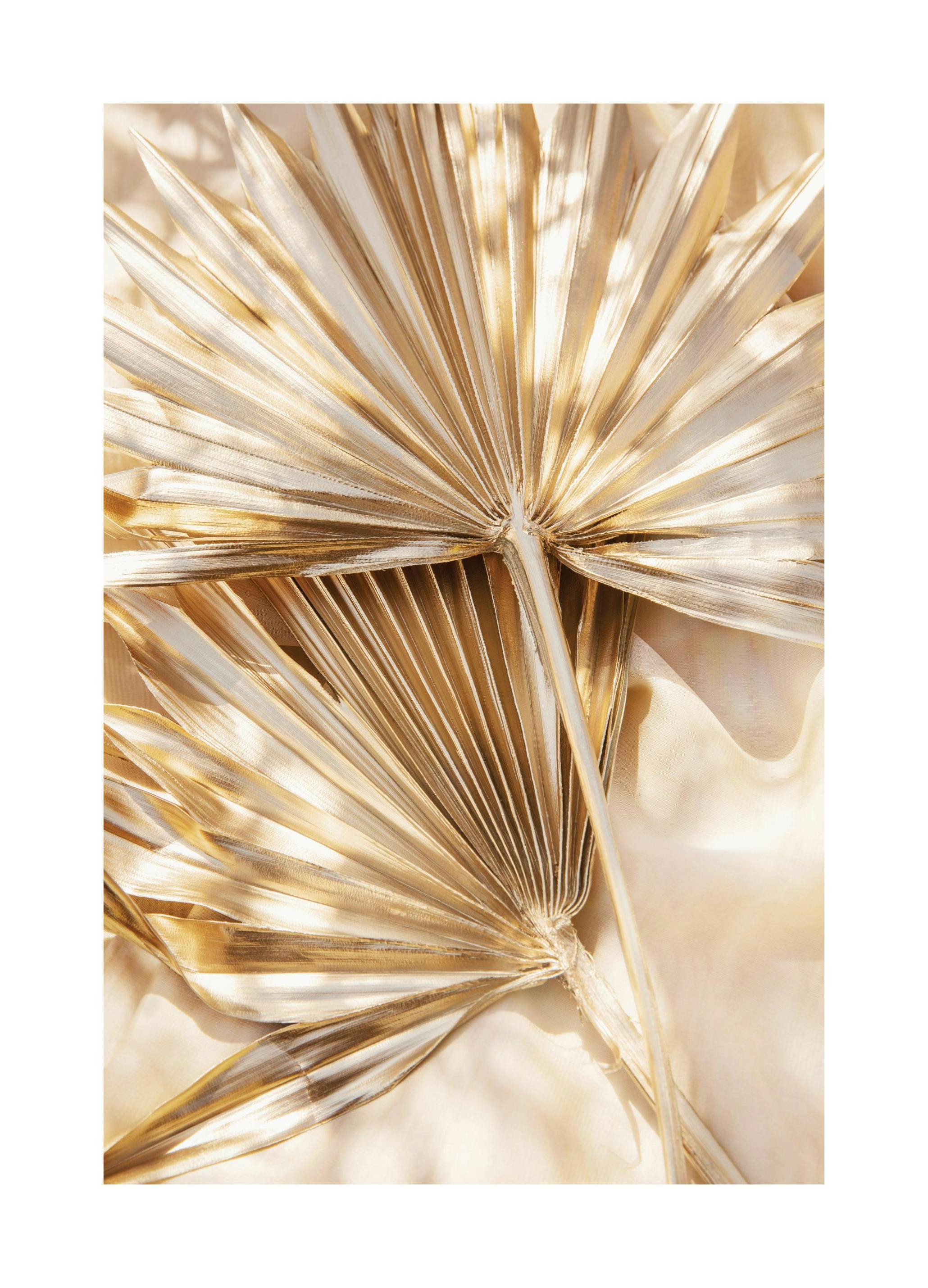 Sunkissed Leaves Poster (21x30 cm)- Posters de palmeiras