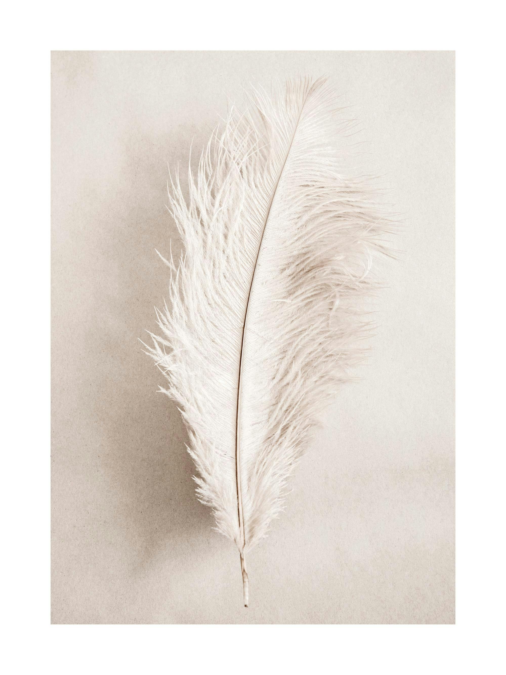 Fotografía de una pluma blanca con textura suave sobre un fondo beige, creando una sensación de paz y ligereza.