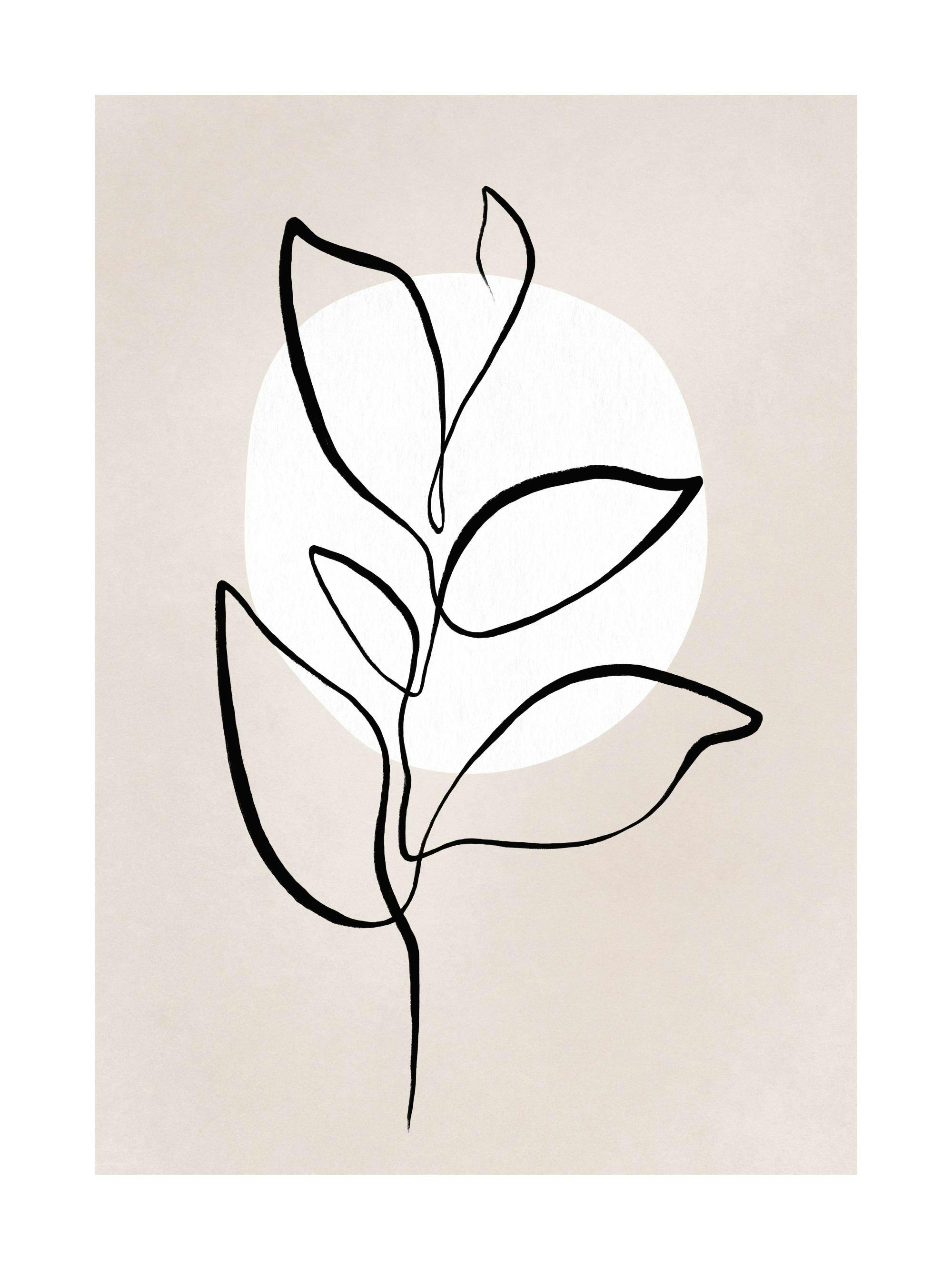 Illustrazione botanica con foglia nera in stile line art su sfondo beige e cerchio bianco. Poster arte moderna.