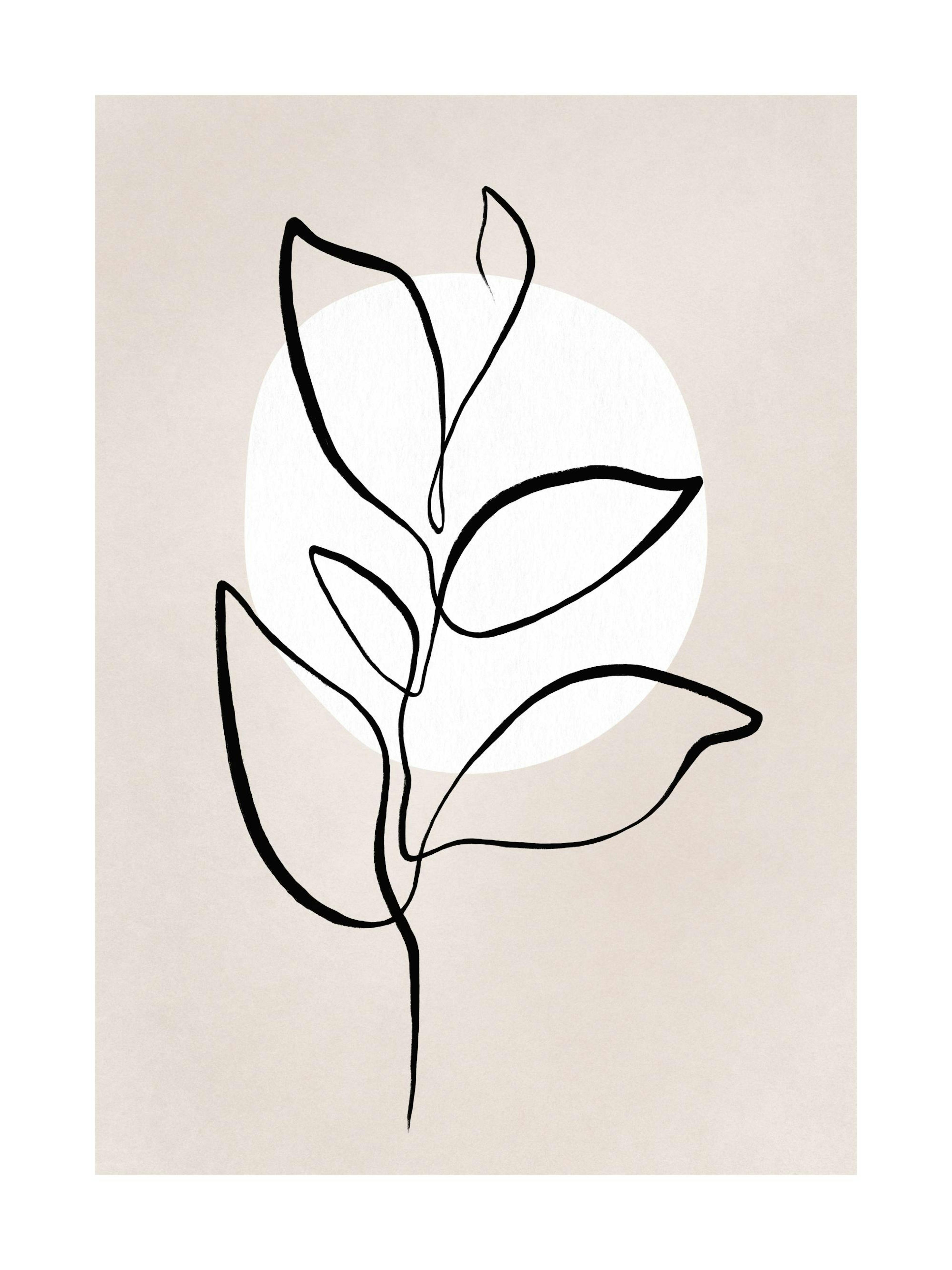 Botanical Lines No2 Print 0