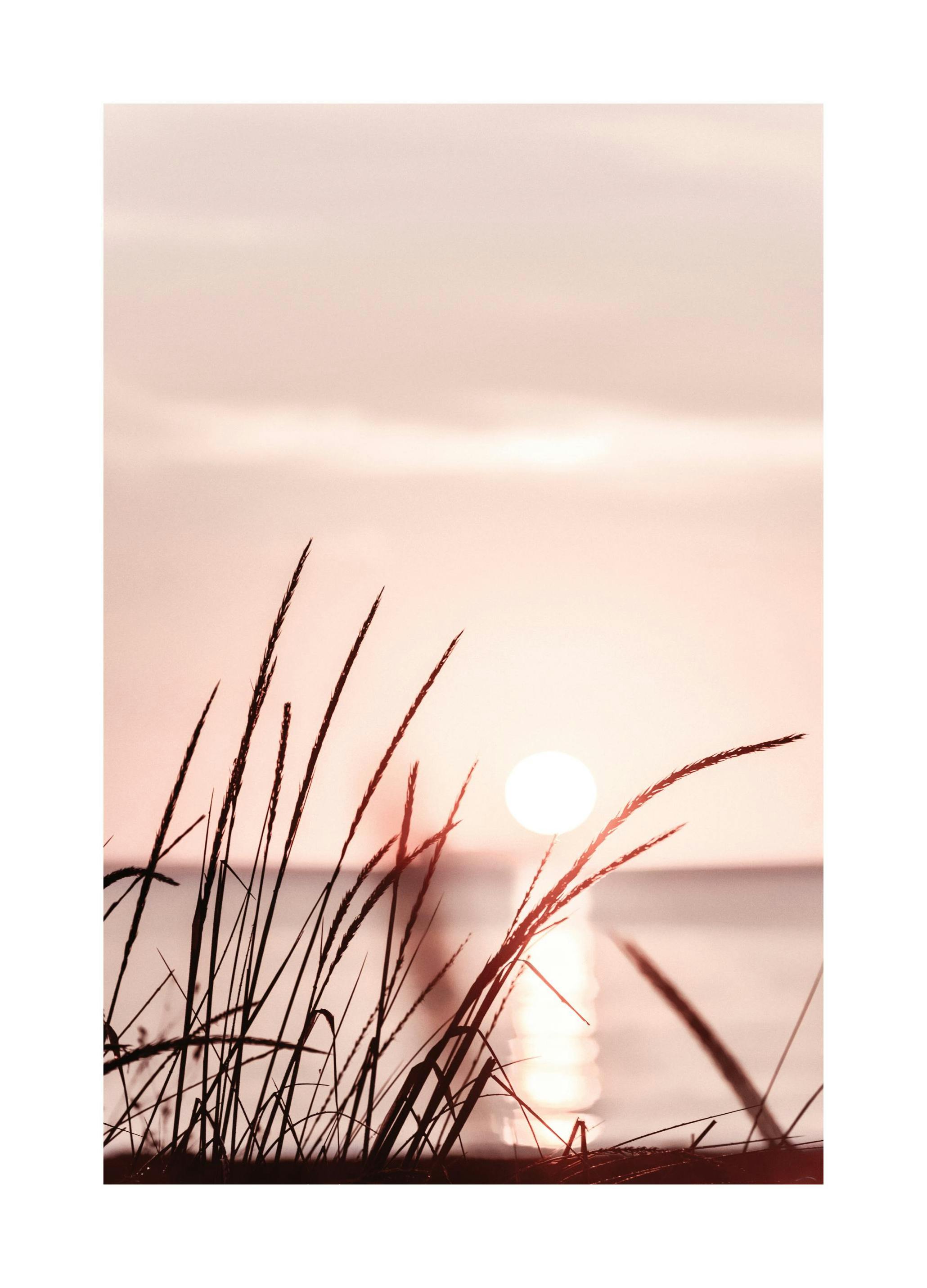 Sunset Grass Poster (21x30 cm)- Fotografias e posters do mar