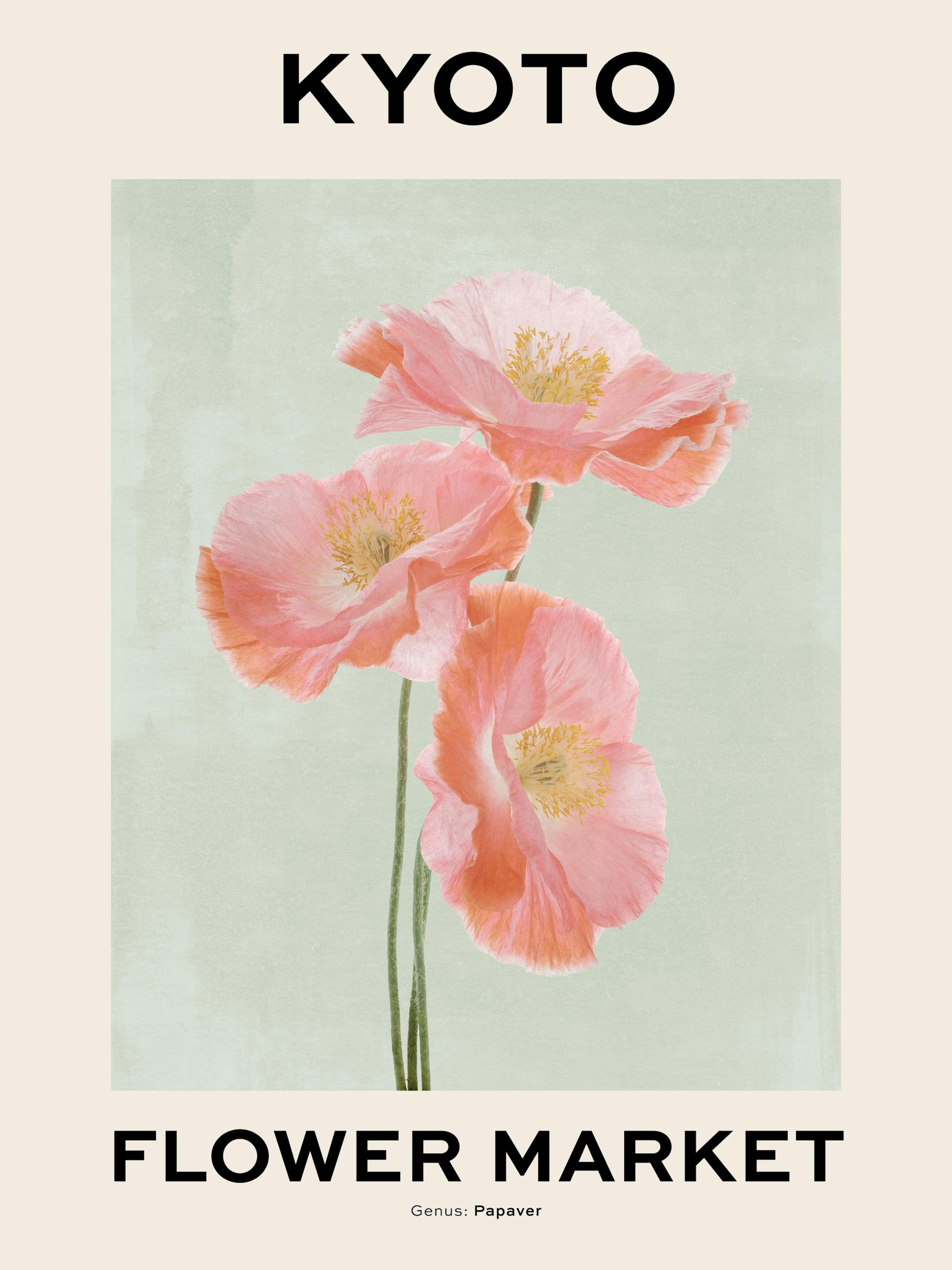 Affiche de fleurs de pavot roses et oranges sur fond vert et beige avec lettrage noir Kyoto Flower Market