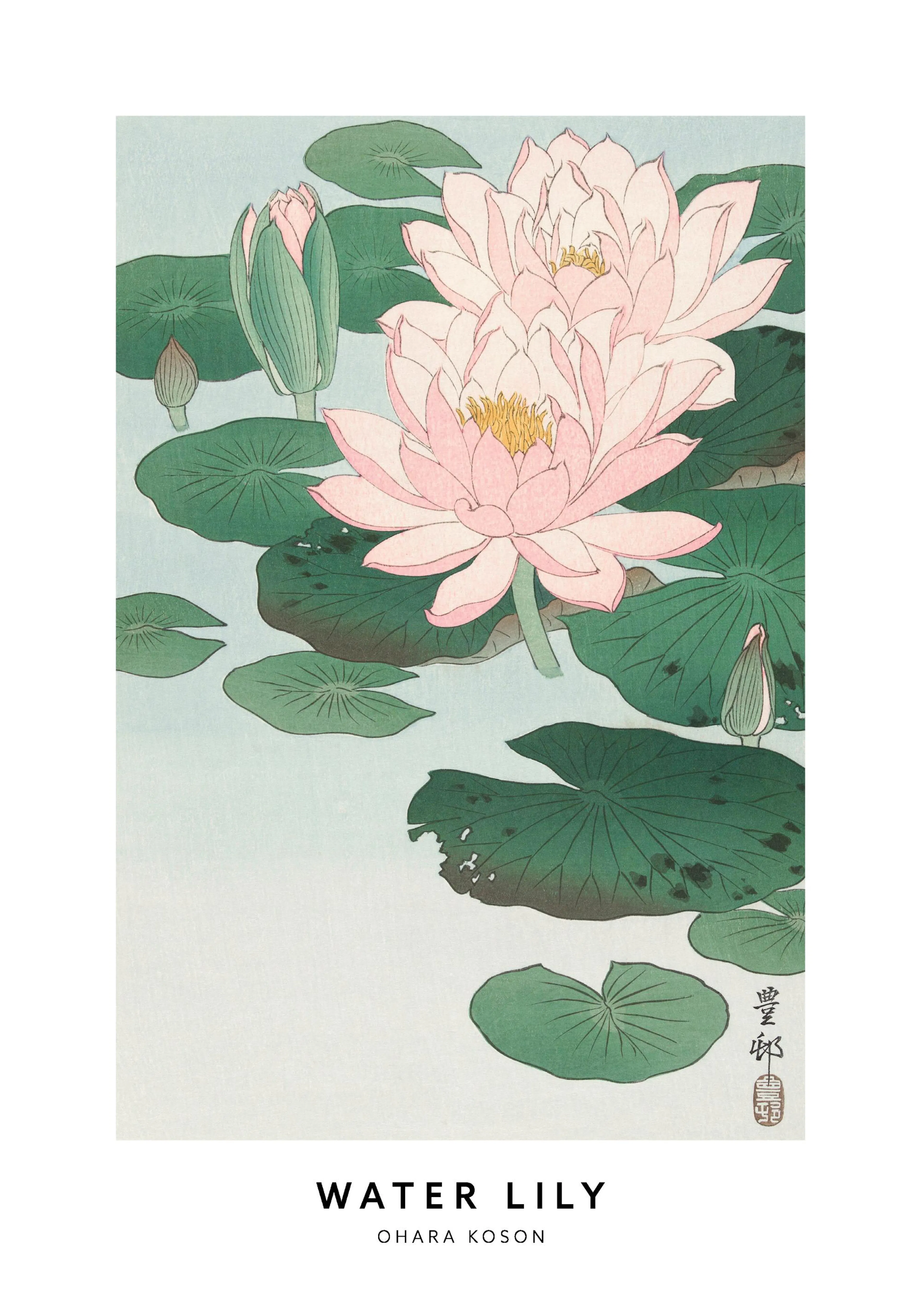 Affiche de Ohara Koson, illustration botanique japonaise de nénuphars roses et de feuilles vertes sur leau