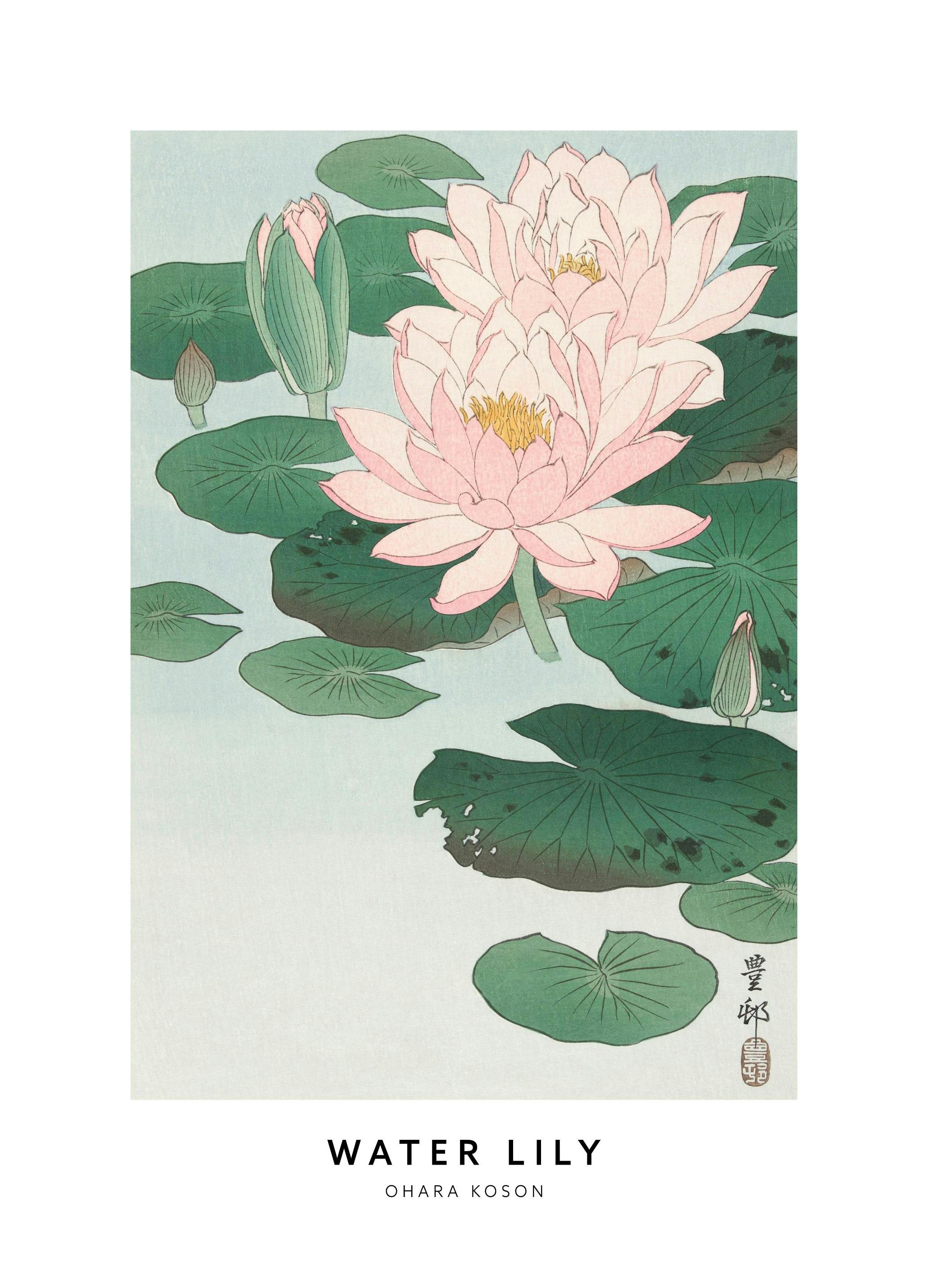 Ohara Koson - Water Lily Print (30x40 cm)
