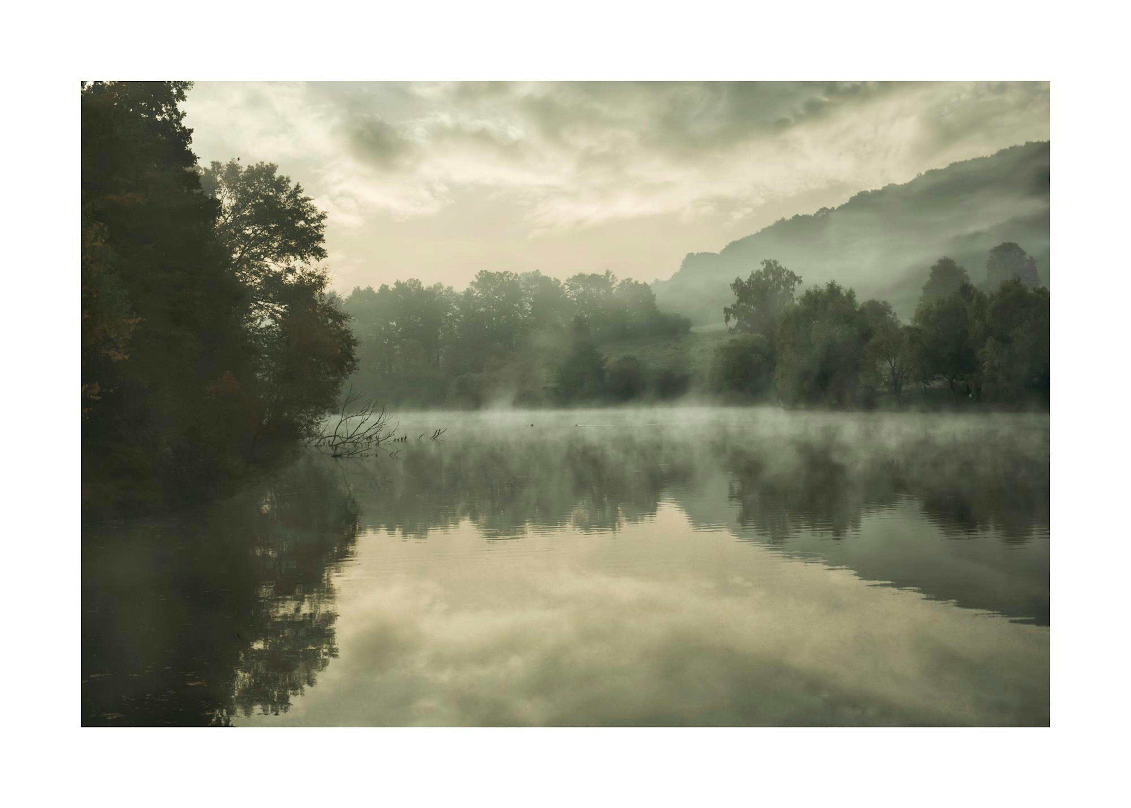 Green Lake Plakat 0