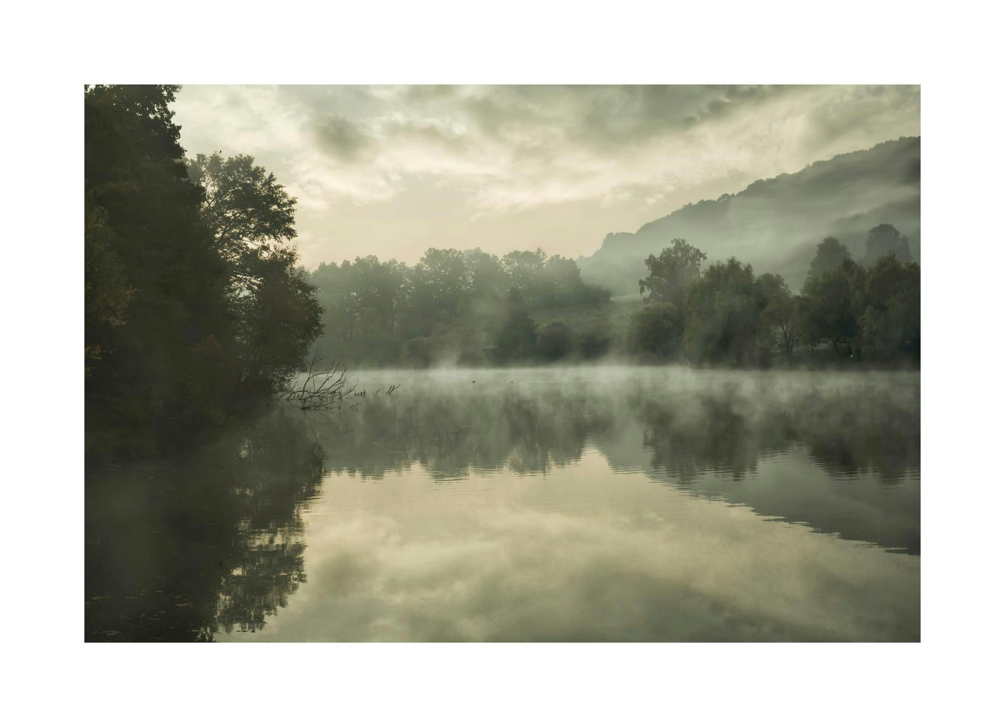 Prints - Green Lake Print (50x70 cm) - Nature prints