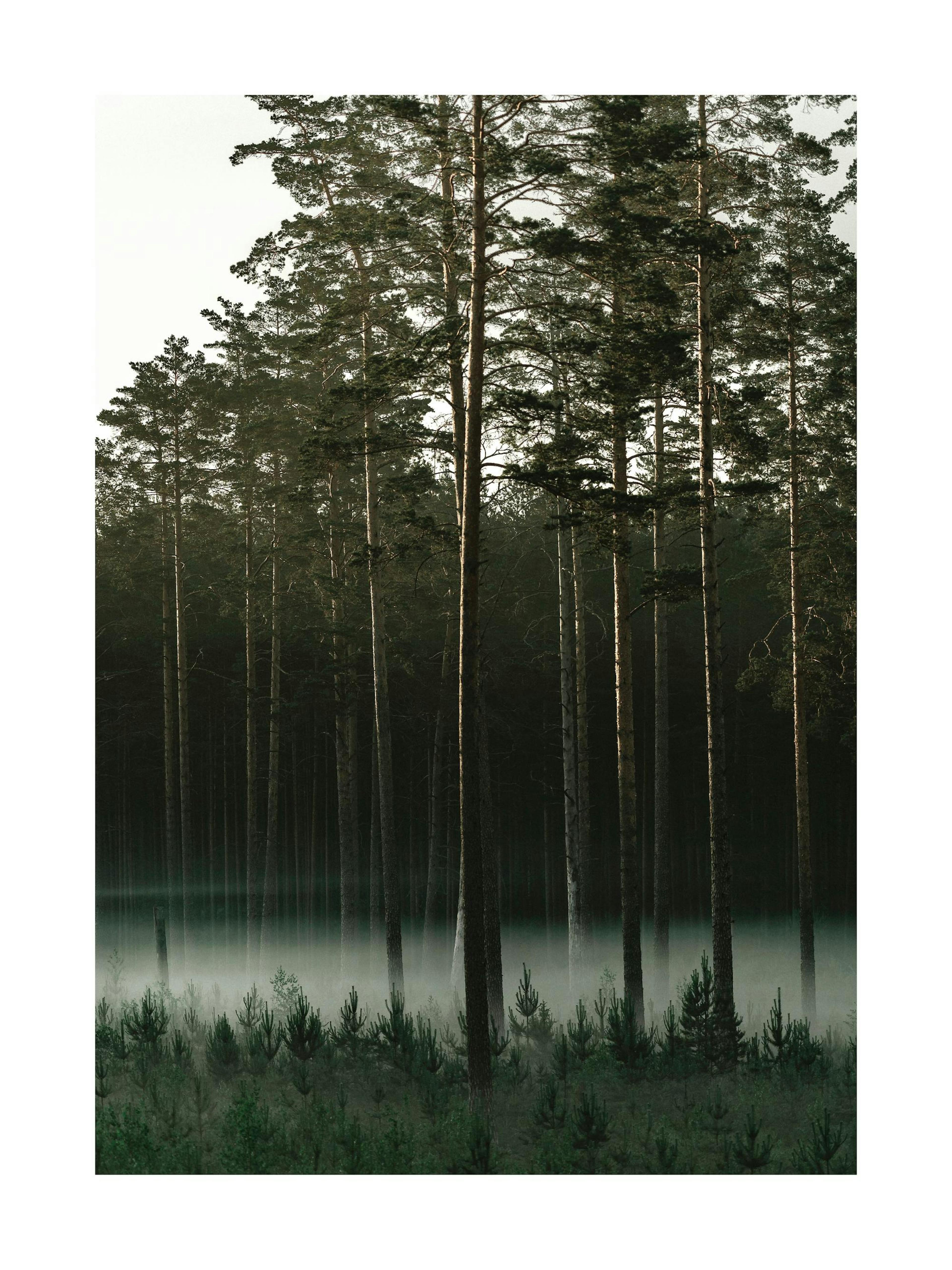 Product image: 1